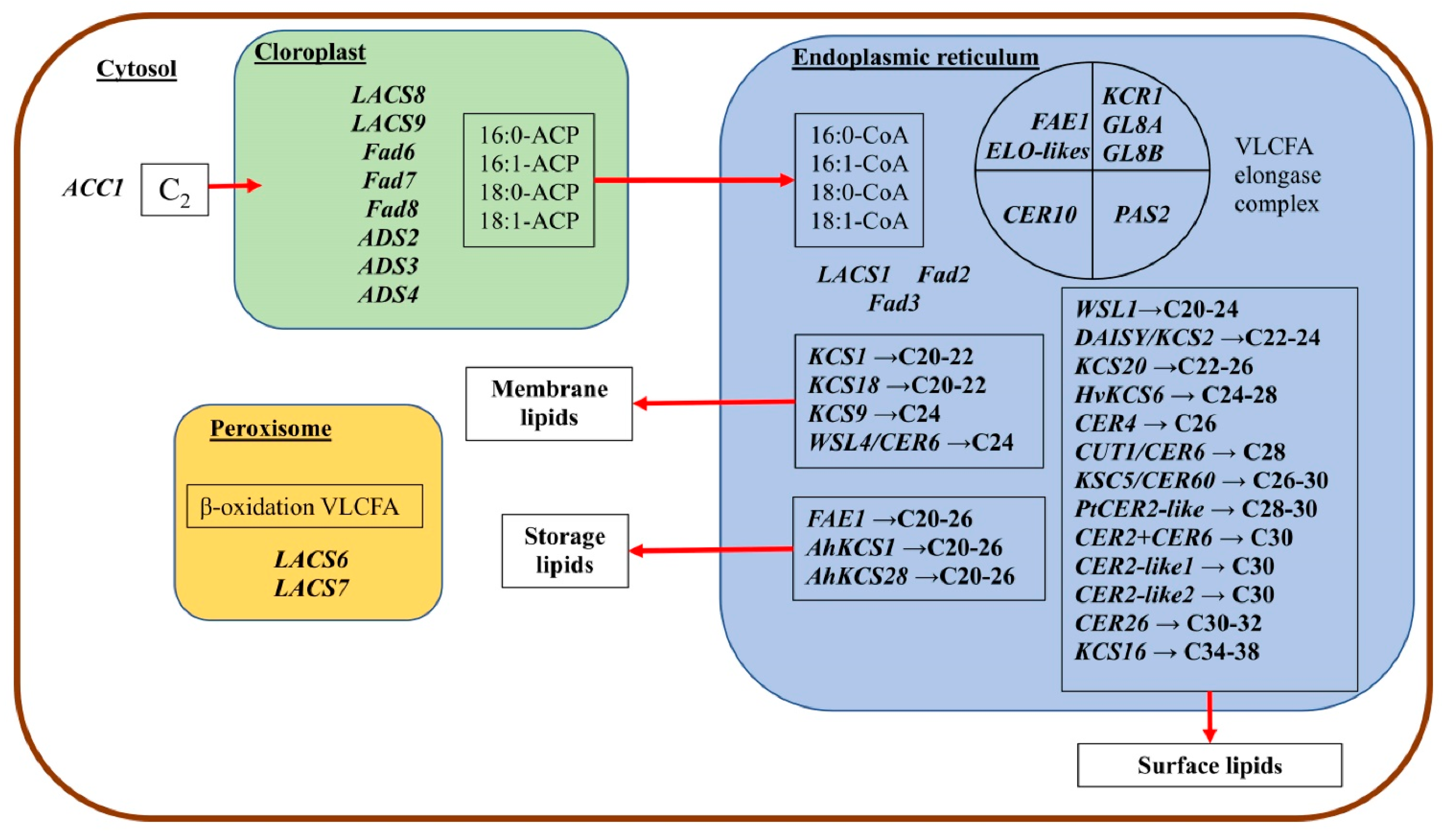 Ijms 23 04731 g004 550