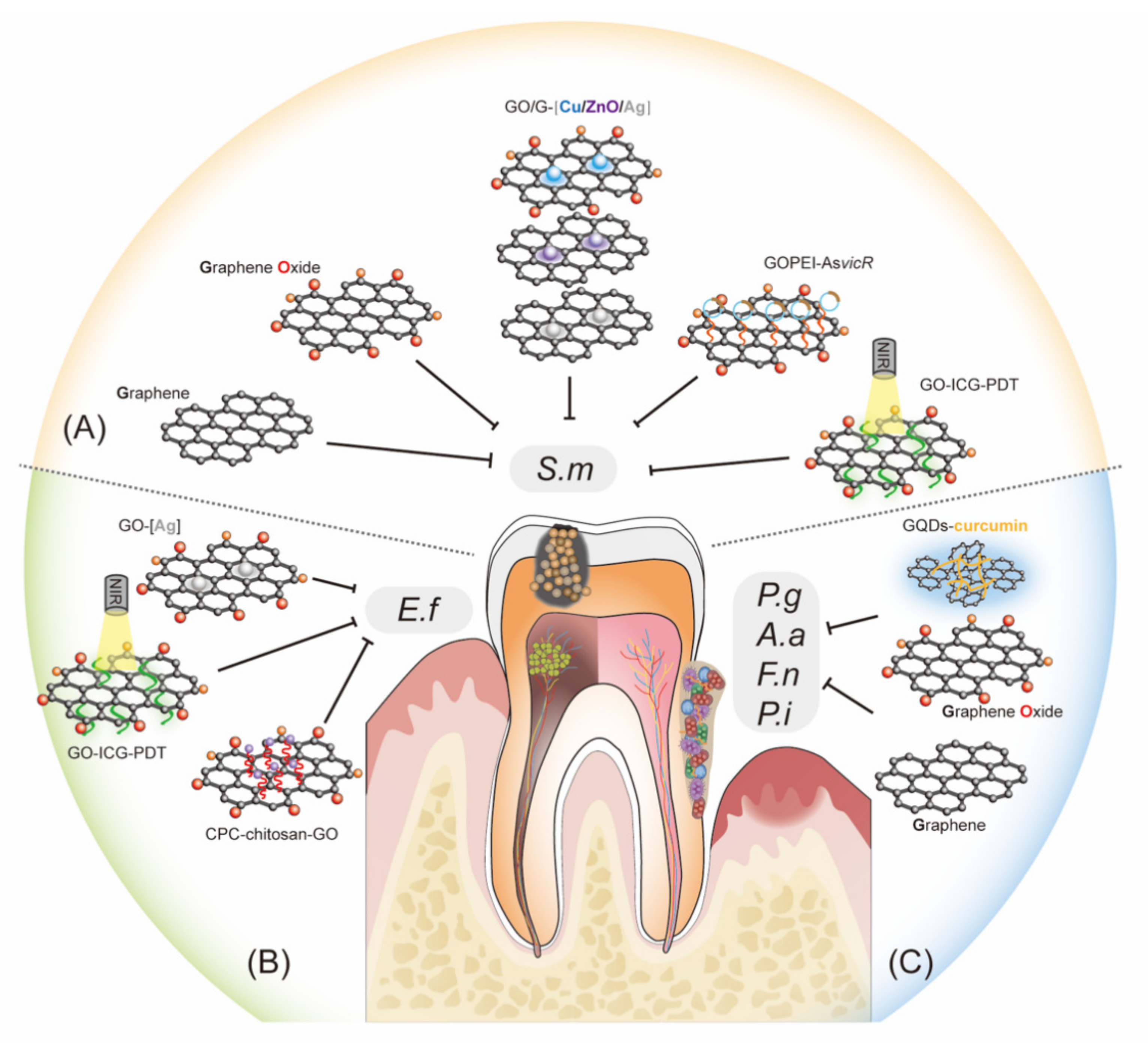 Ijms 23 04737 g001 550