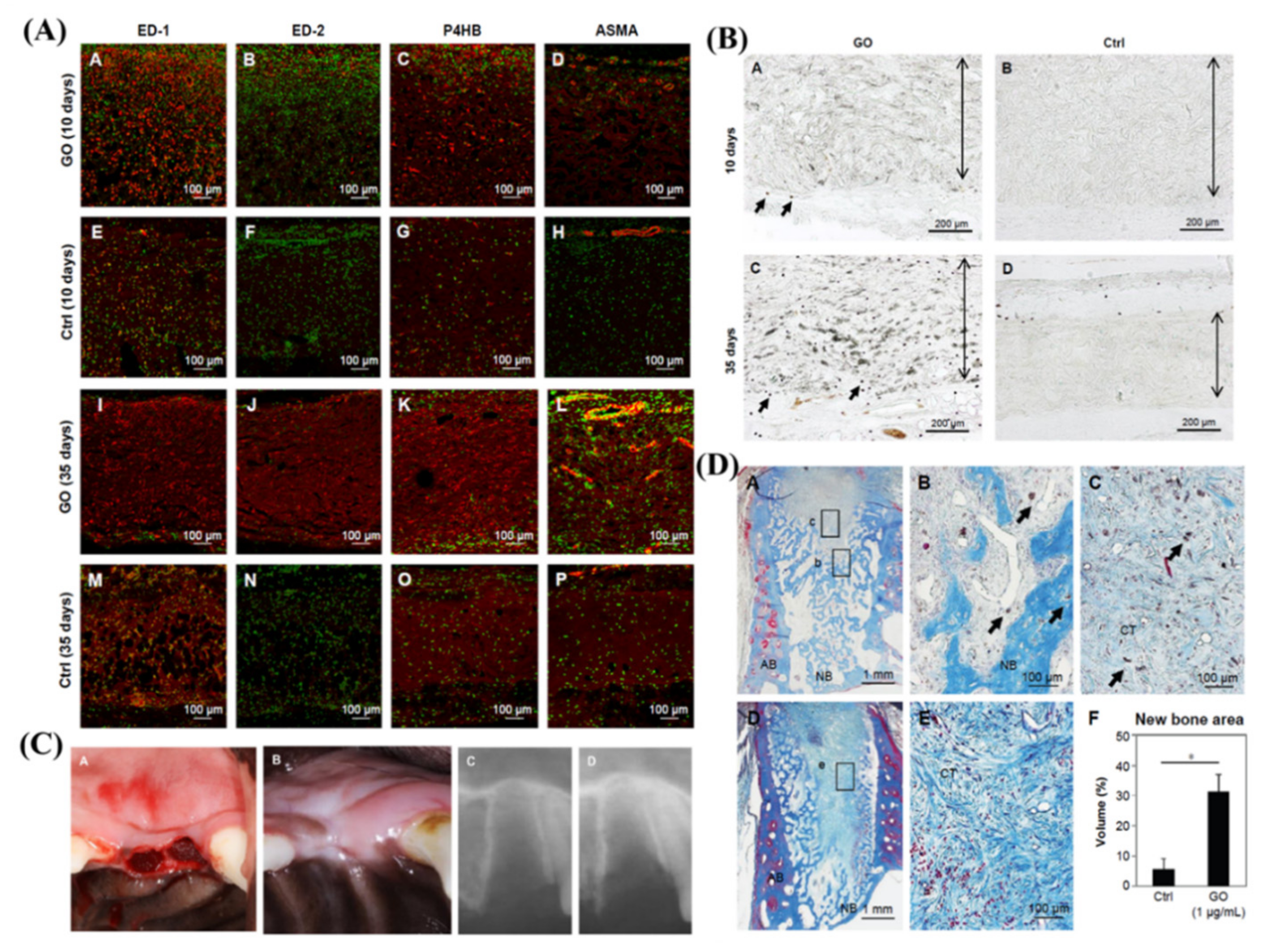 Ijms 23 04737 g003 550