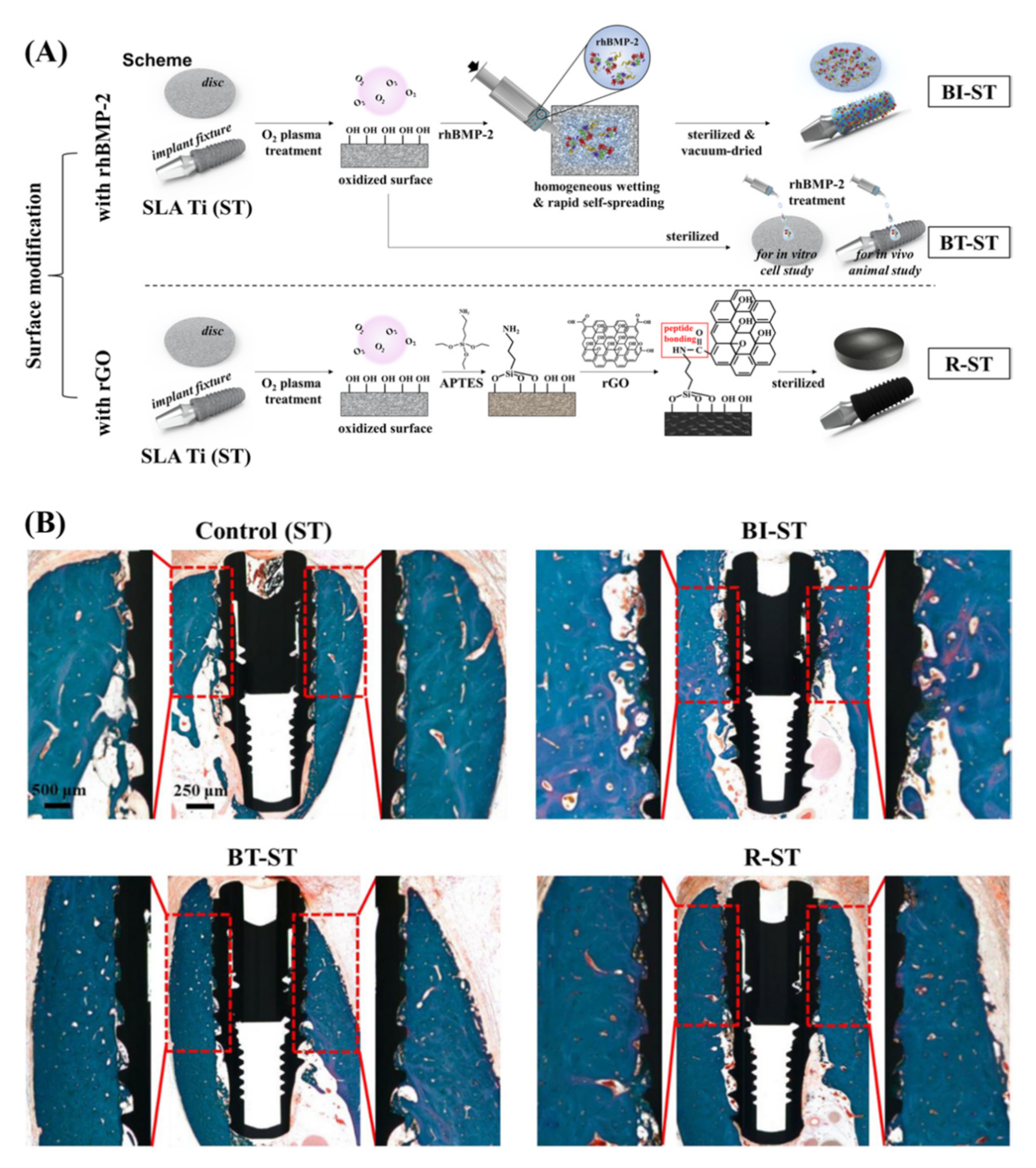 Ijms 23 04737 g005 550