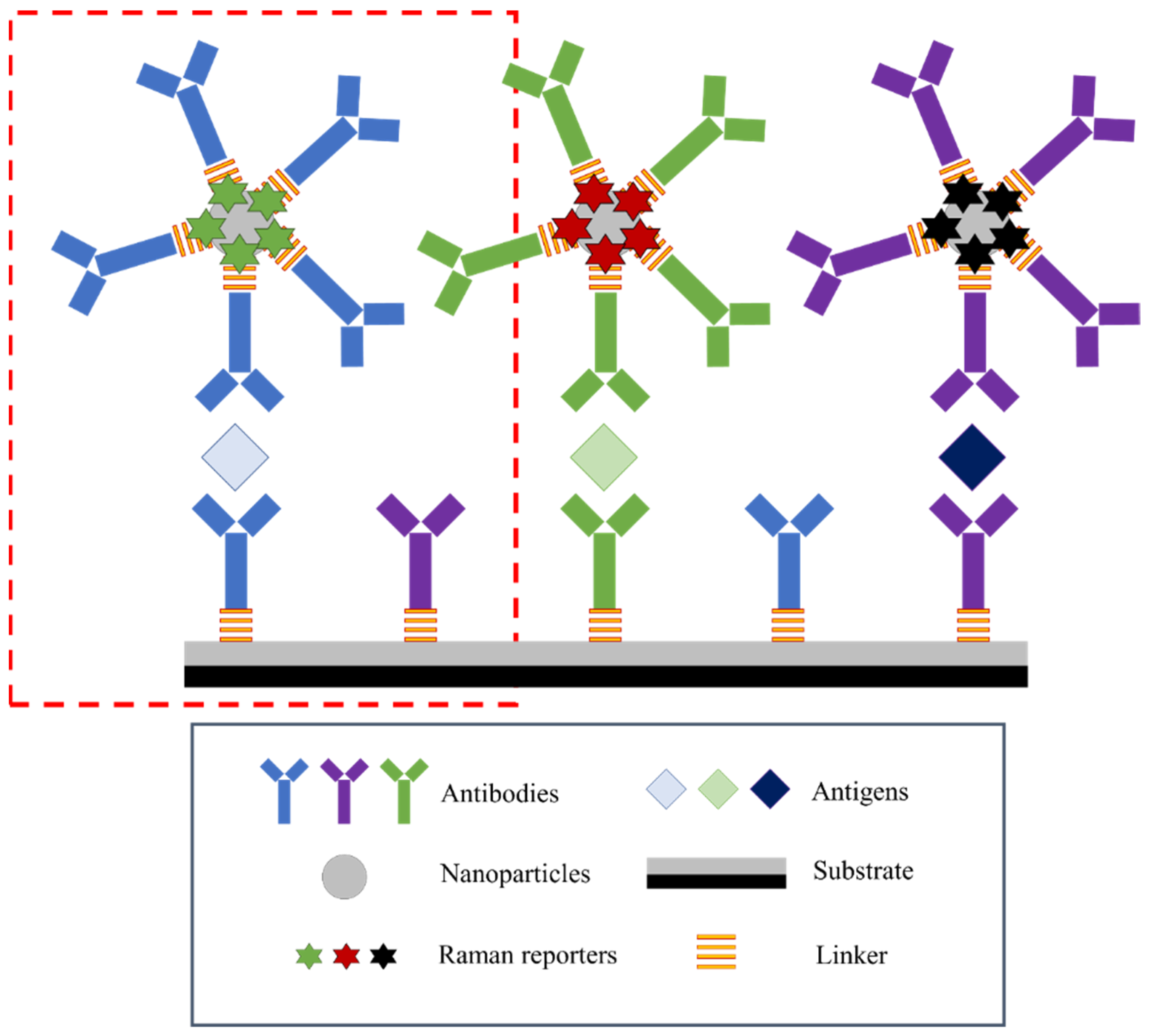 Ijms 23 04740 g003 550