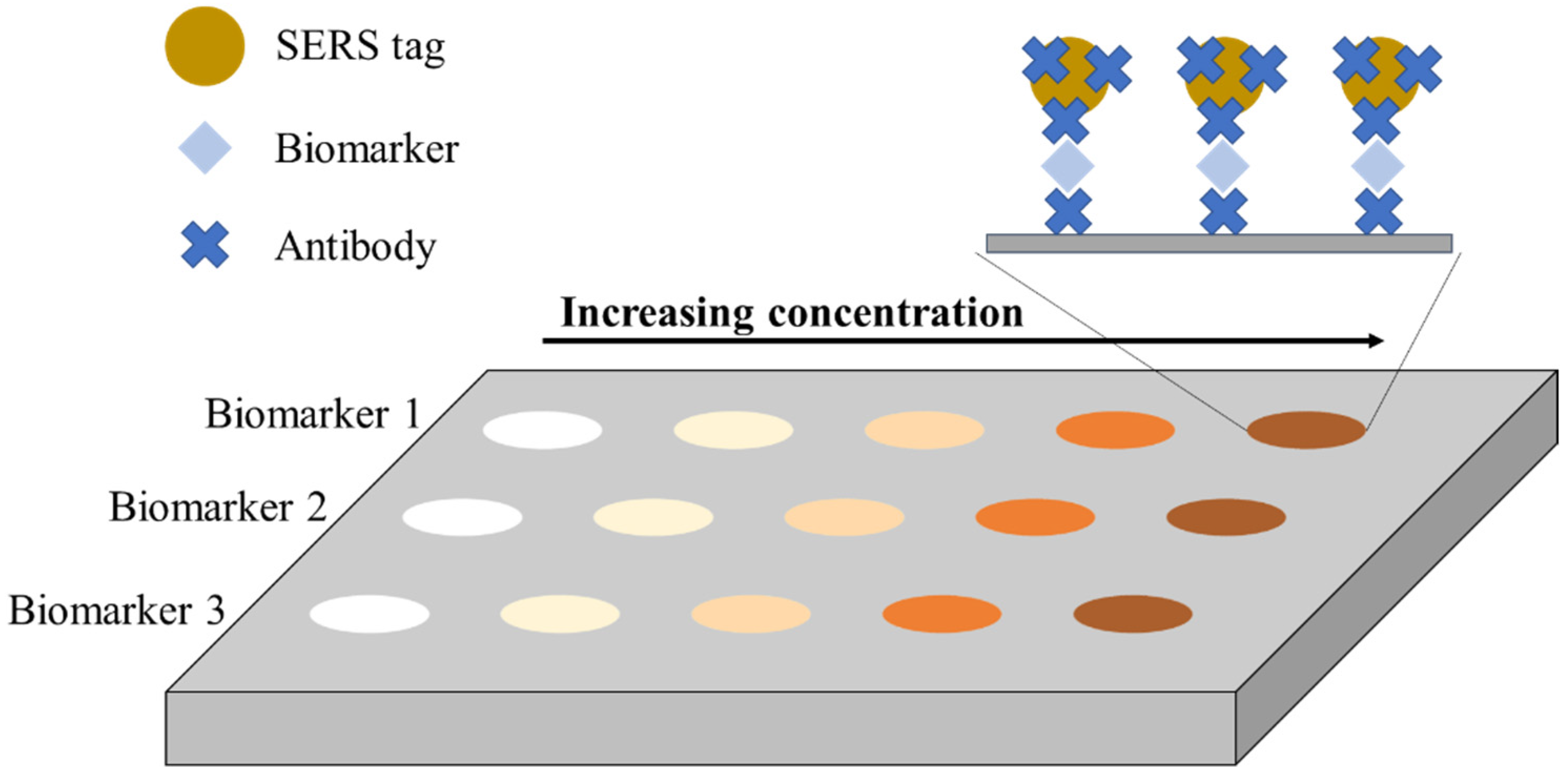 Ijms 23 04740 g006 550
