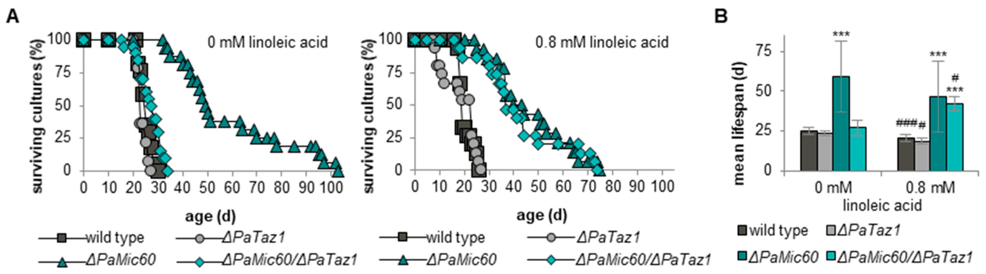 Ijms 23 04741 g006 550