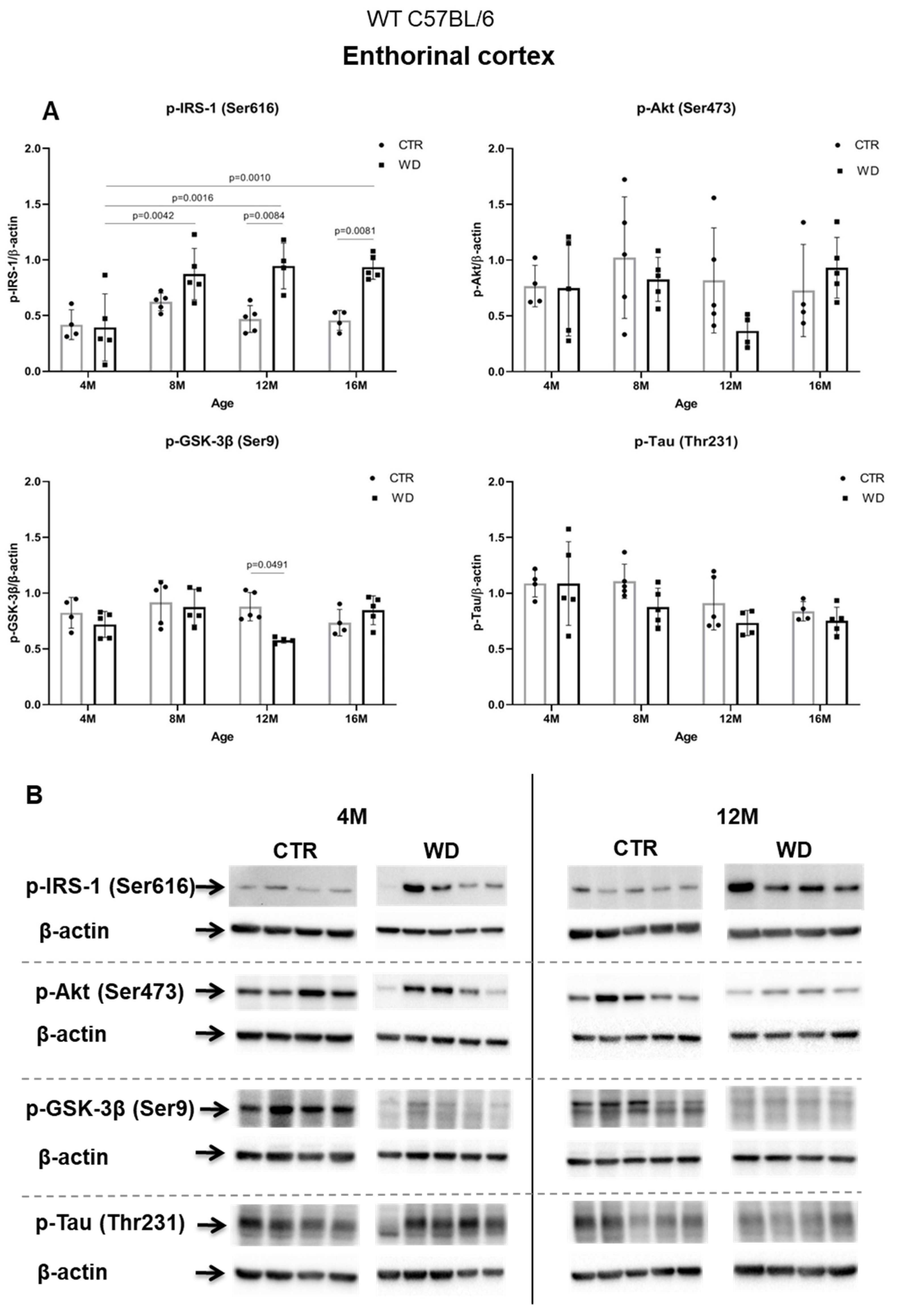 Ijms 23 04744 g002a Ijms 23 04744 g002a