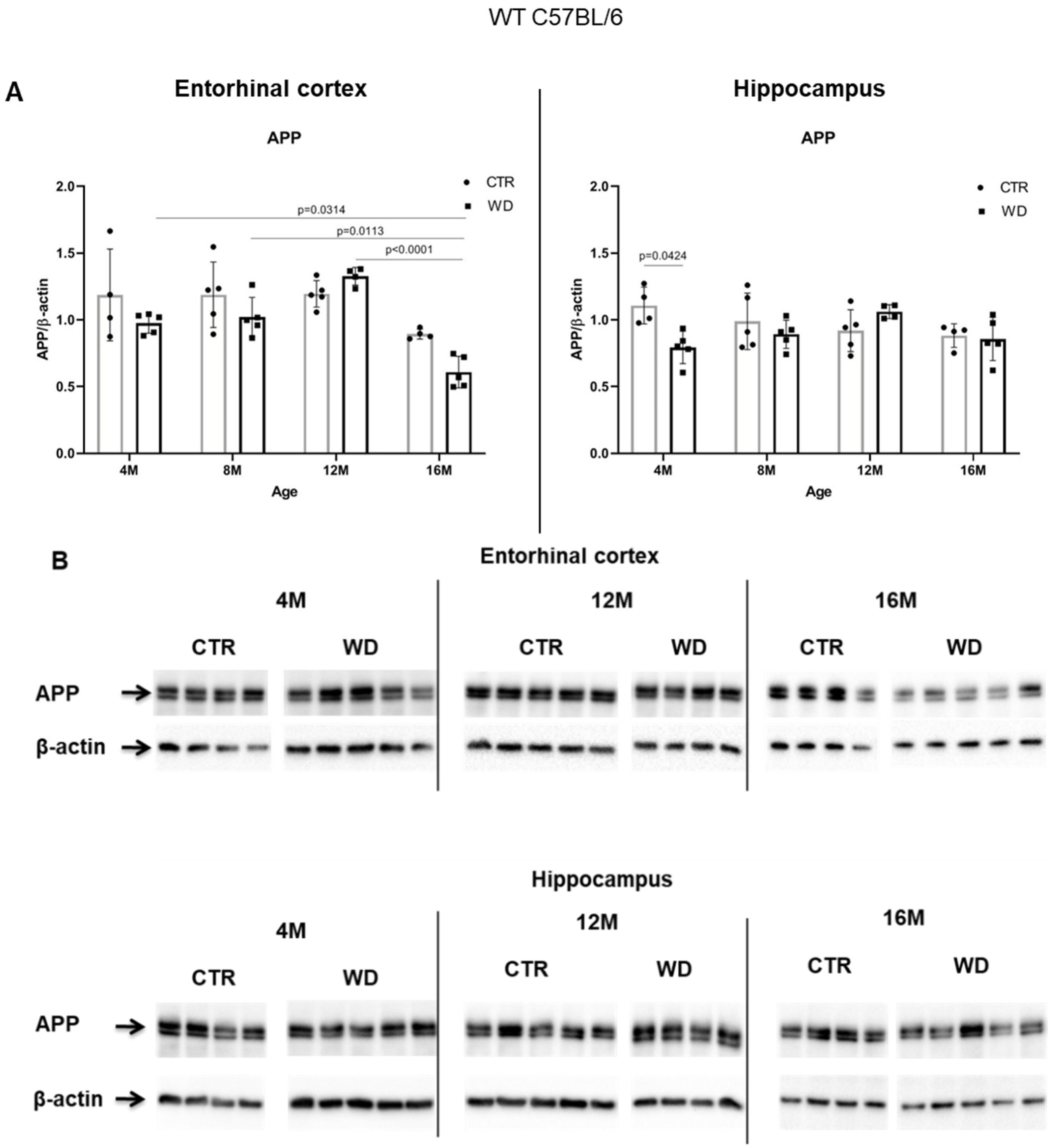 Ijms 23 04744 g004a Ijms 23 04744 g004a