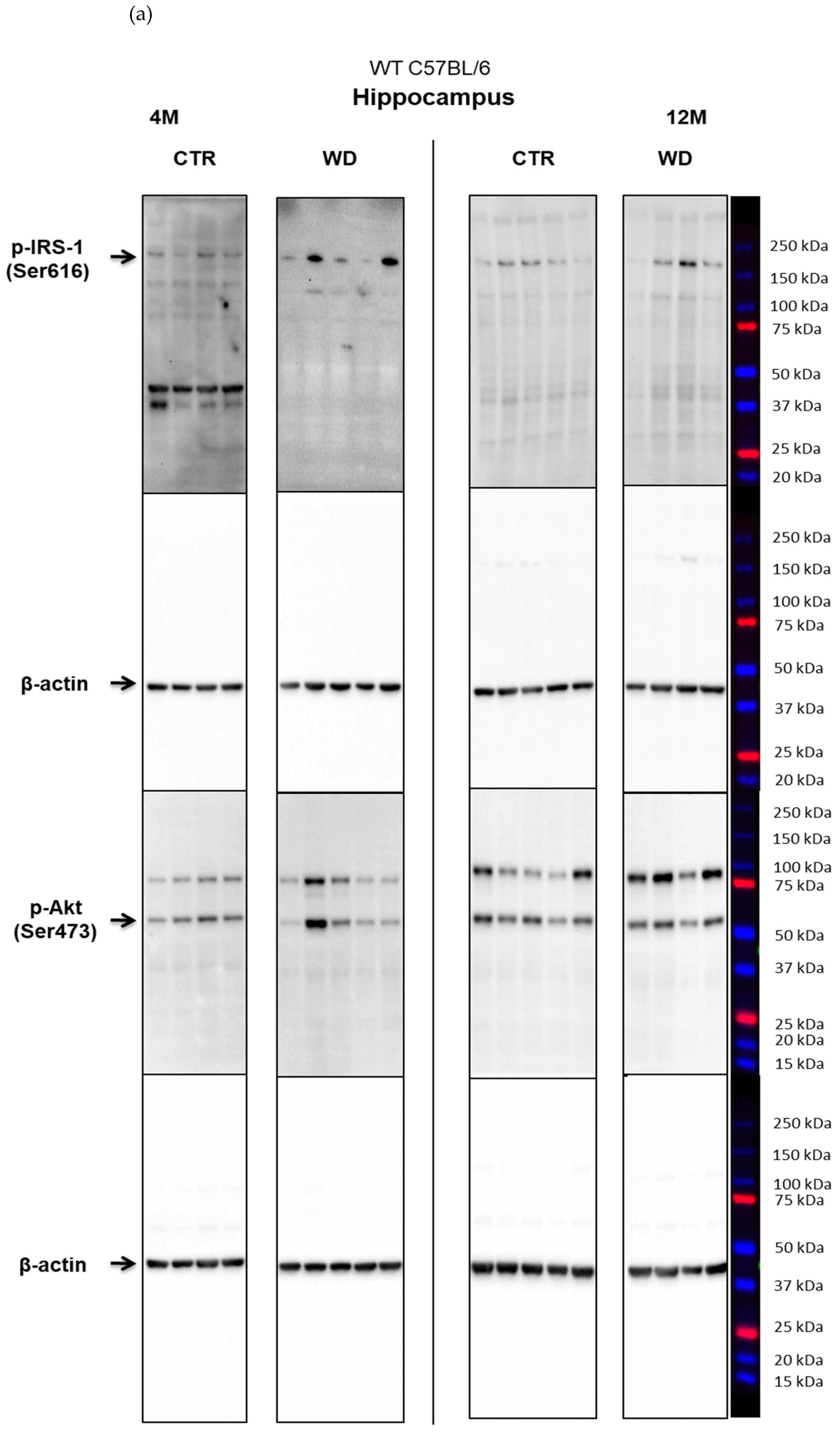 Ijms 23 04744 g0a2a Ijms 23 04744 g0a2a