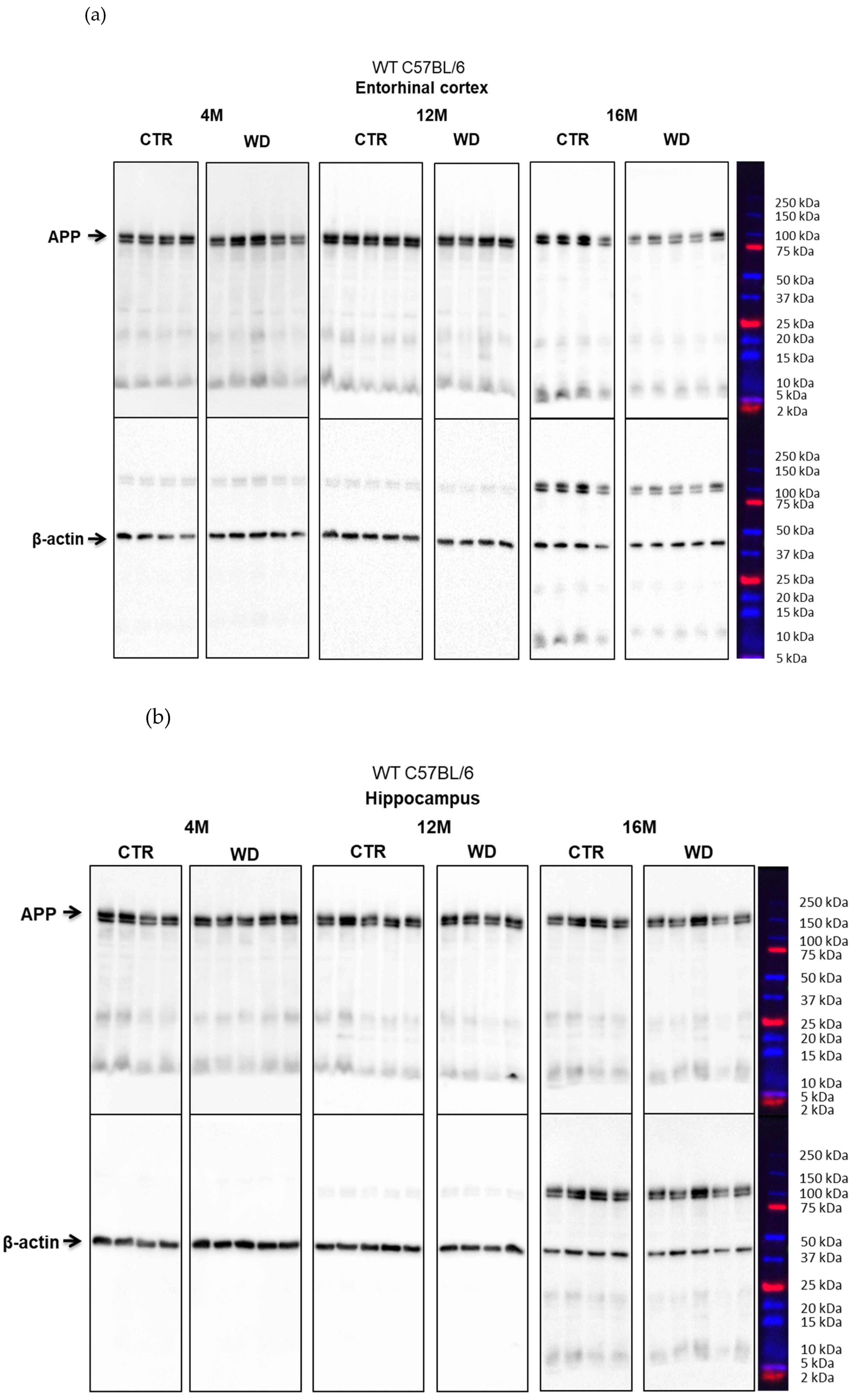 Ijms 23 04744 g0a3 Ijms 23 04744 g0a3