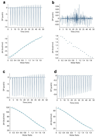 Myoglobin Interaction with Lactate Rapidly Releases Oxygen