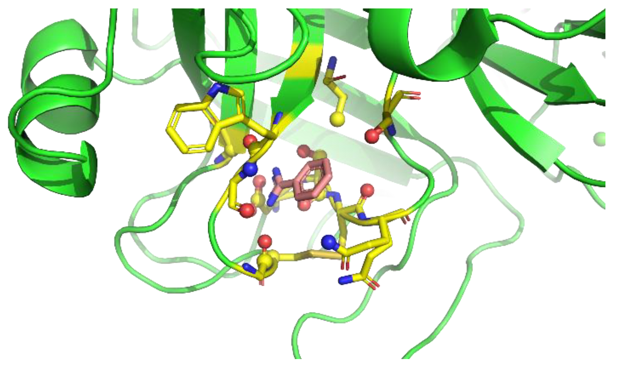 Ijms 23 04749 g003 550