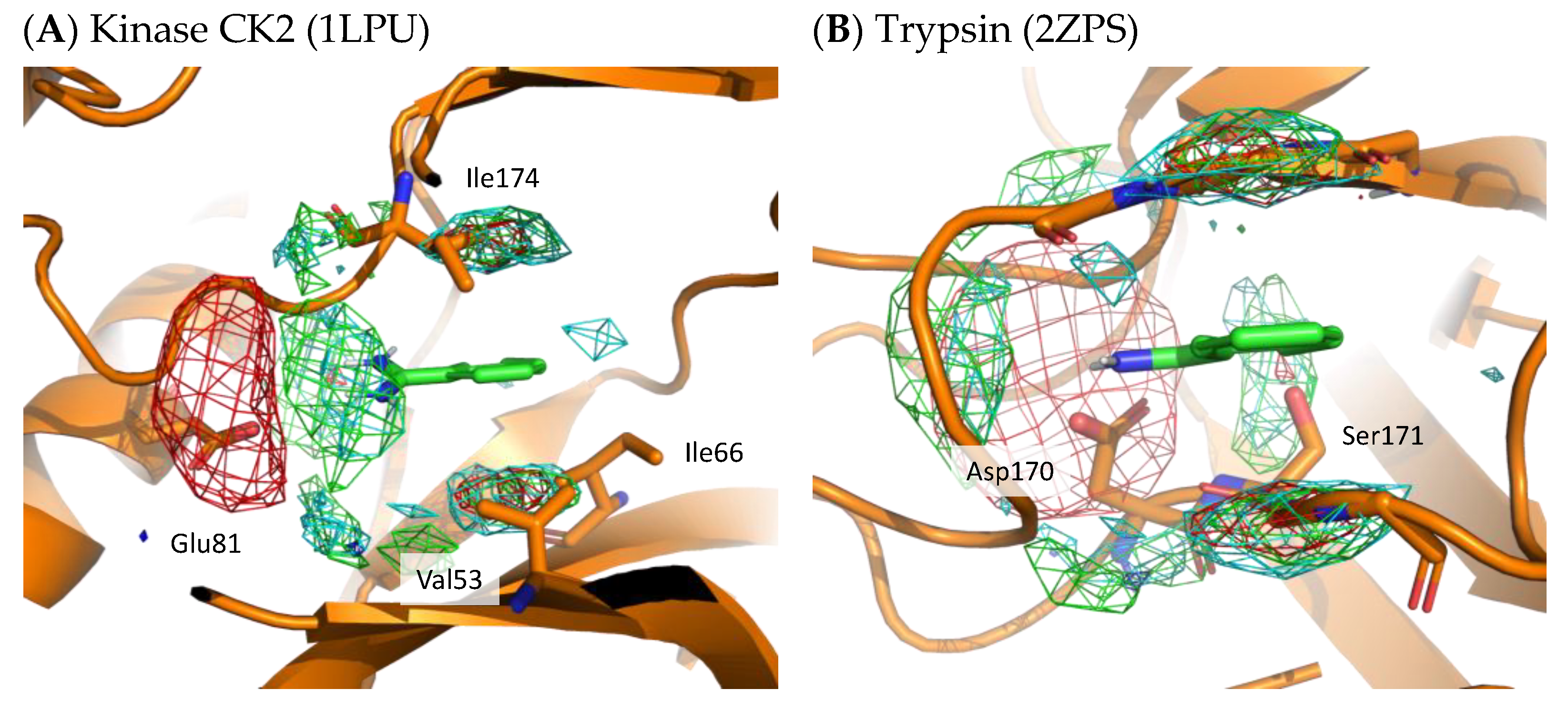 Ijms 23 04749 g008 550
