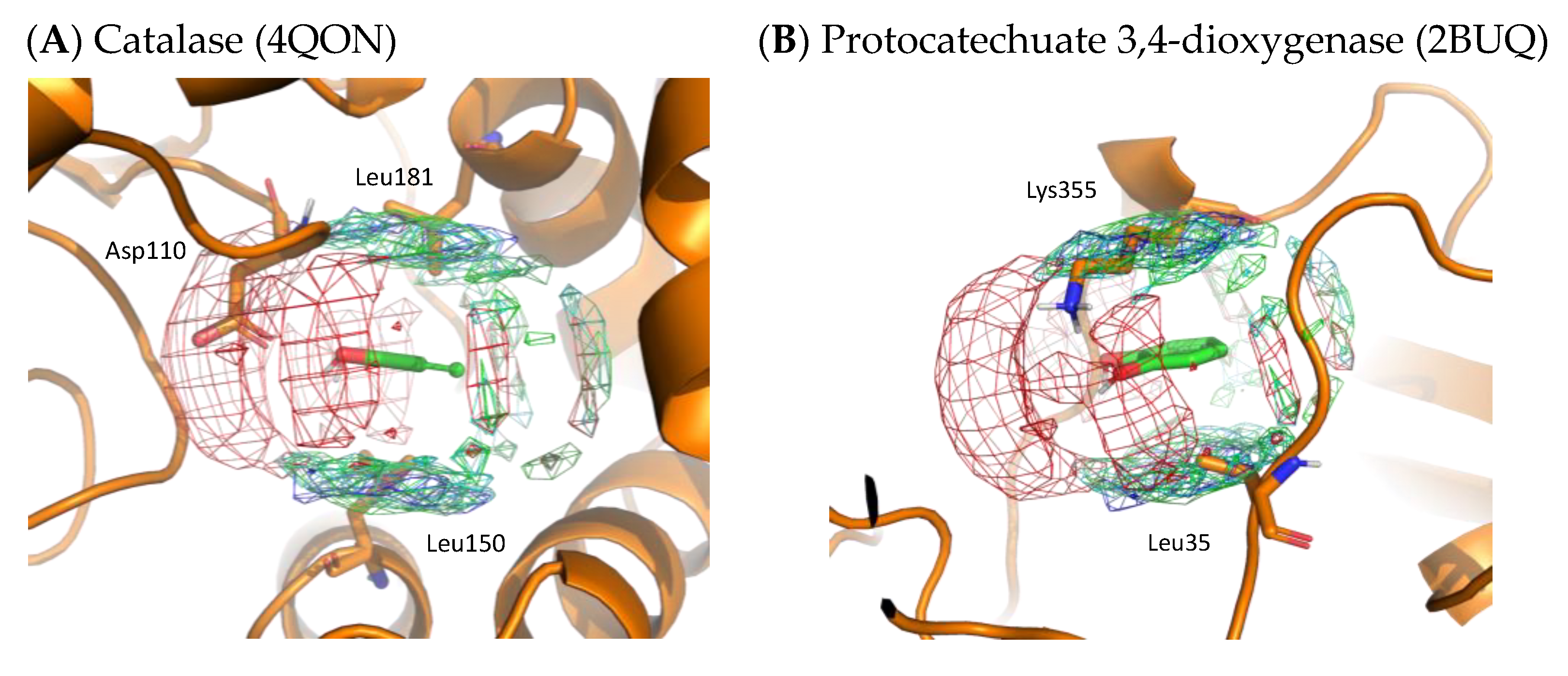 Ijms 23 04749 g009 550