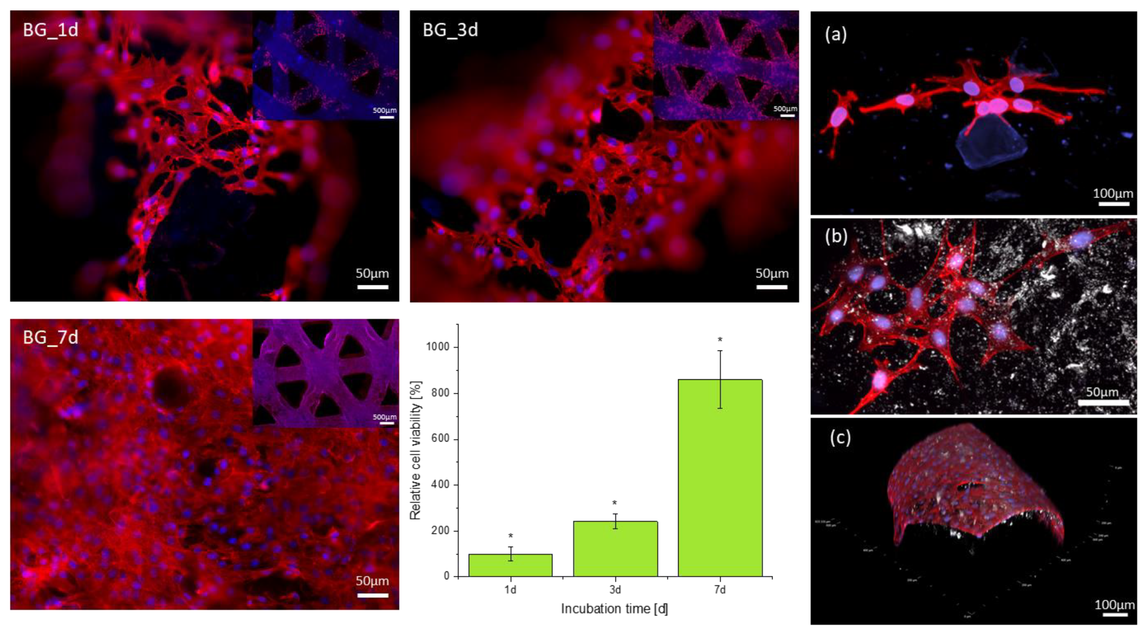 Ijms 23 04750 g011 550