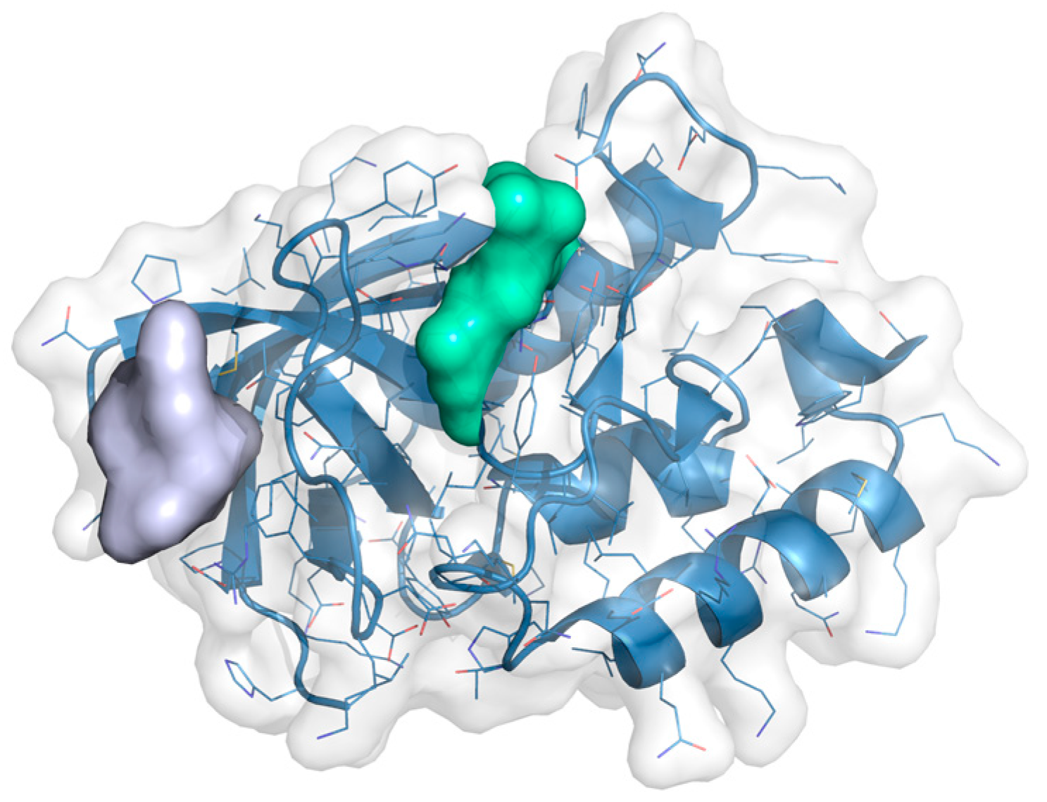 Ijms 23 04756 g007 550