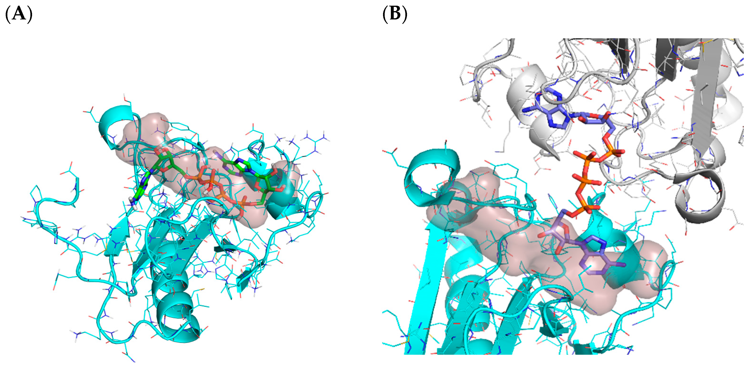 Ijms 23 04756 g008 550