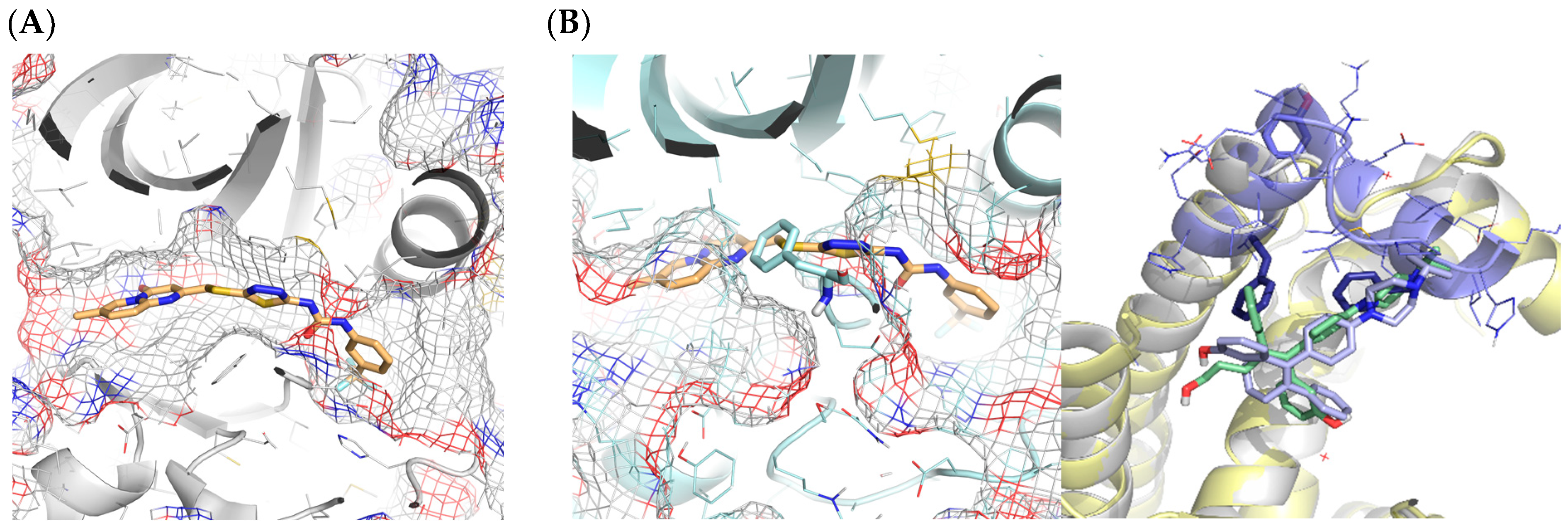 Ijms 23 04756 g010 550