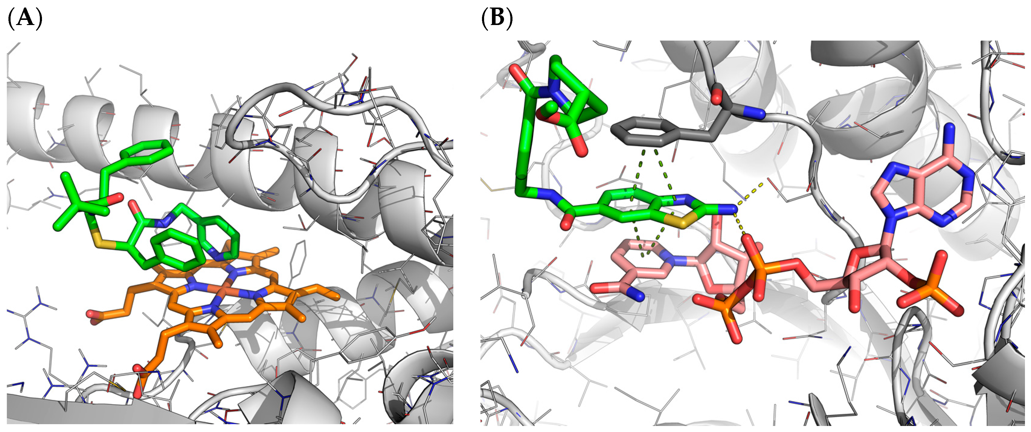 Ijms 23 04756 g011 550
