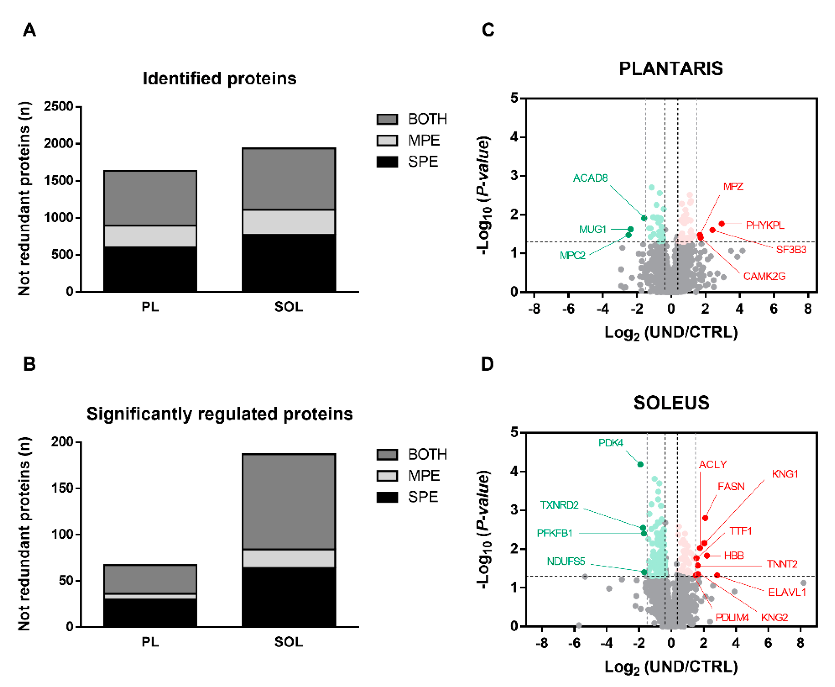 Ijms 23 04762 g003 Ijms 23 04762 g003