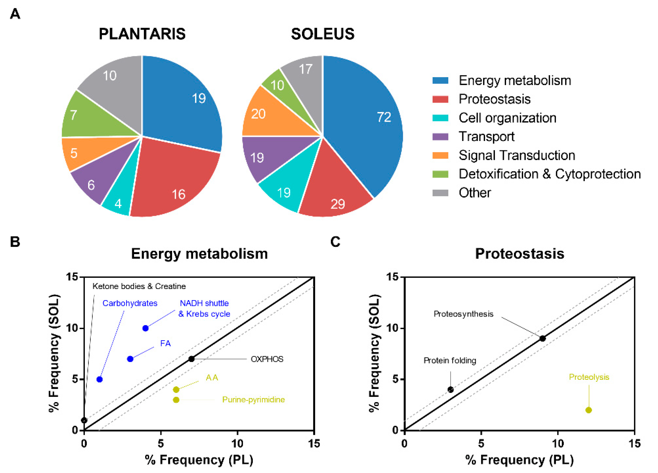Ijms 23 04762 g004 Ijms 23 04762 g004
