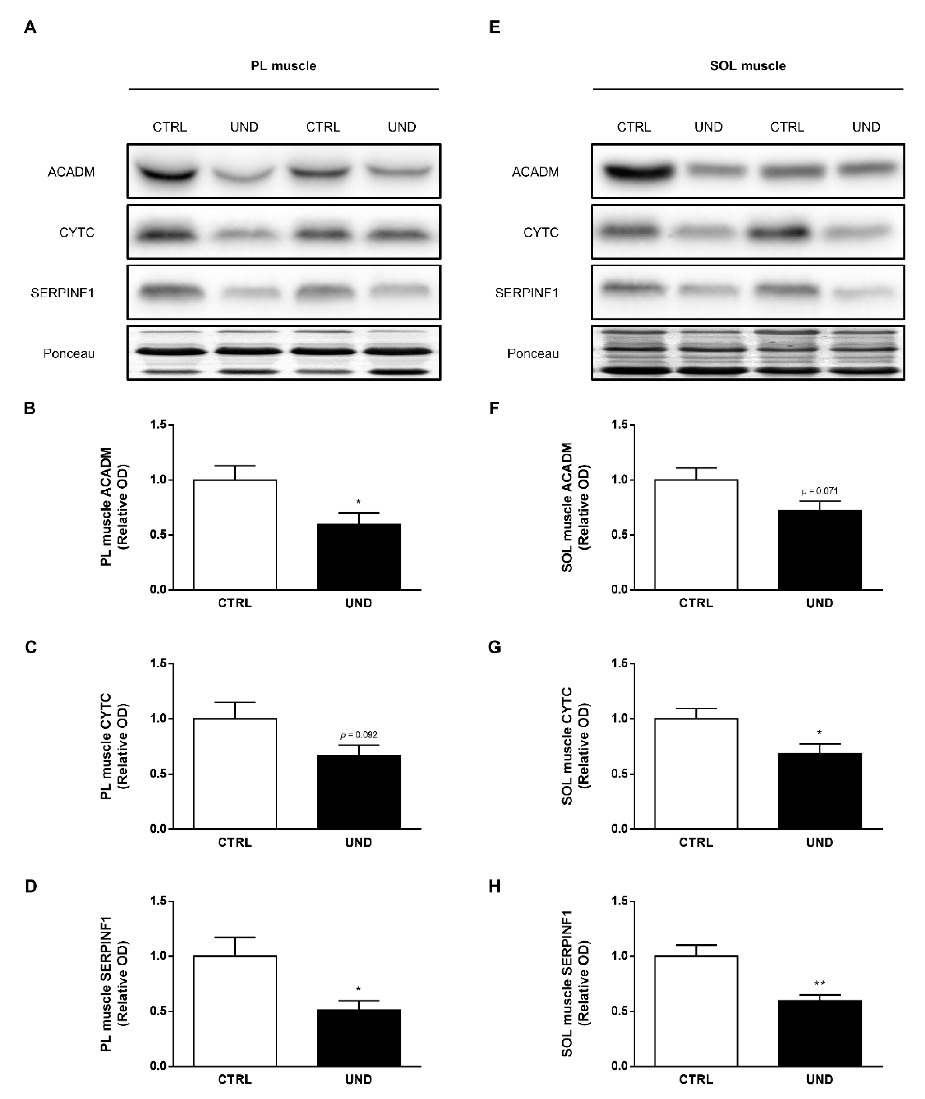 Ijms 23 04762 g008 Ijms 23 04762 g008