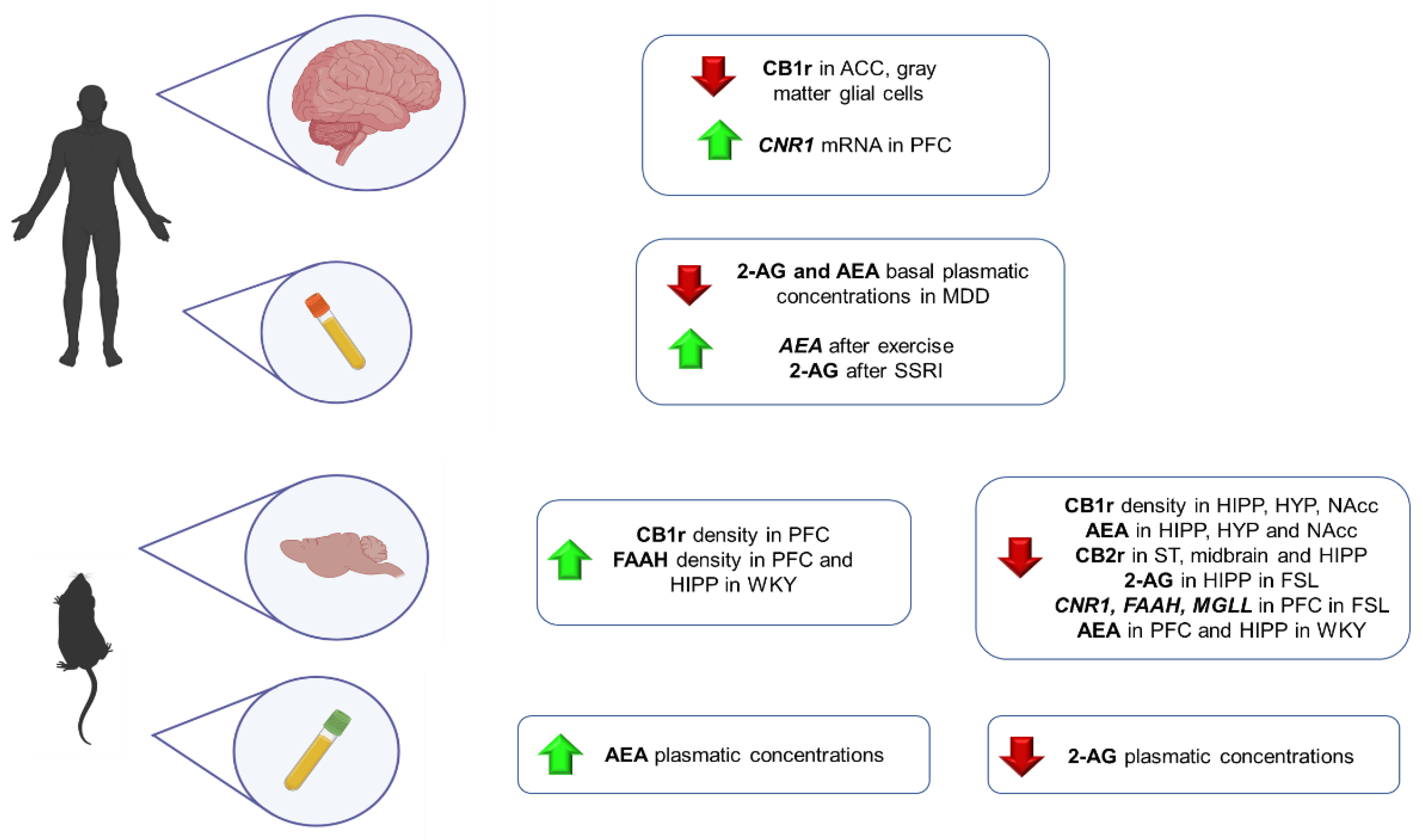 Ijms 23 04764 g003 Ijms 23 04764 g003