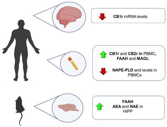 Molecular Alterations of the Endocannabinoid System in Psychiatric