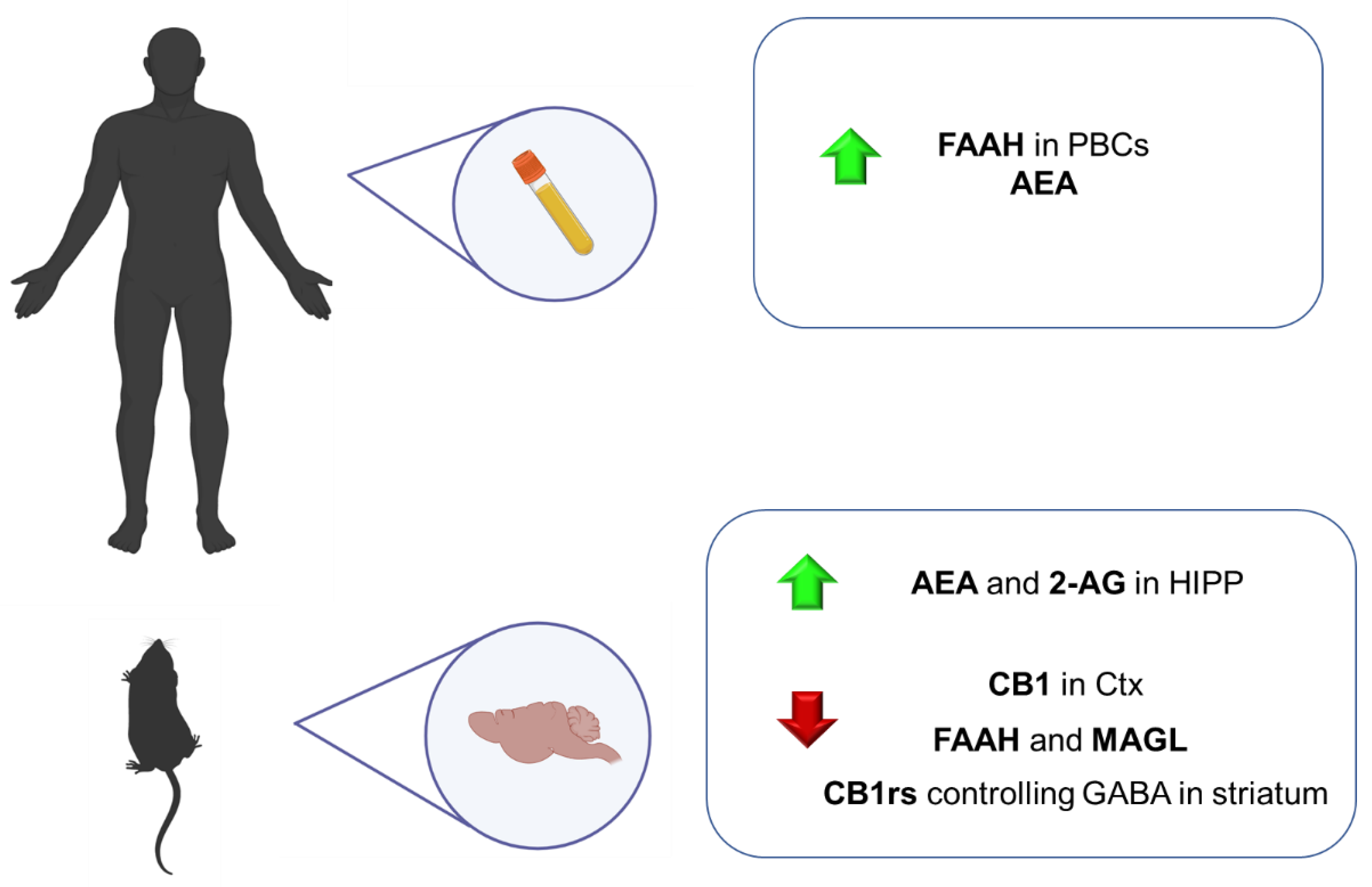 Ijms 23 04764 g006 Ijms 23 04764 g006