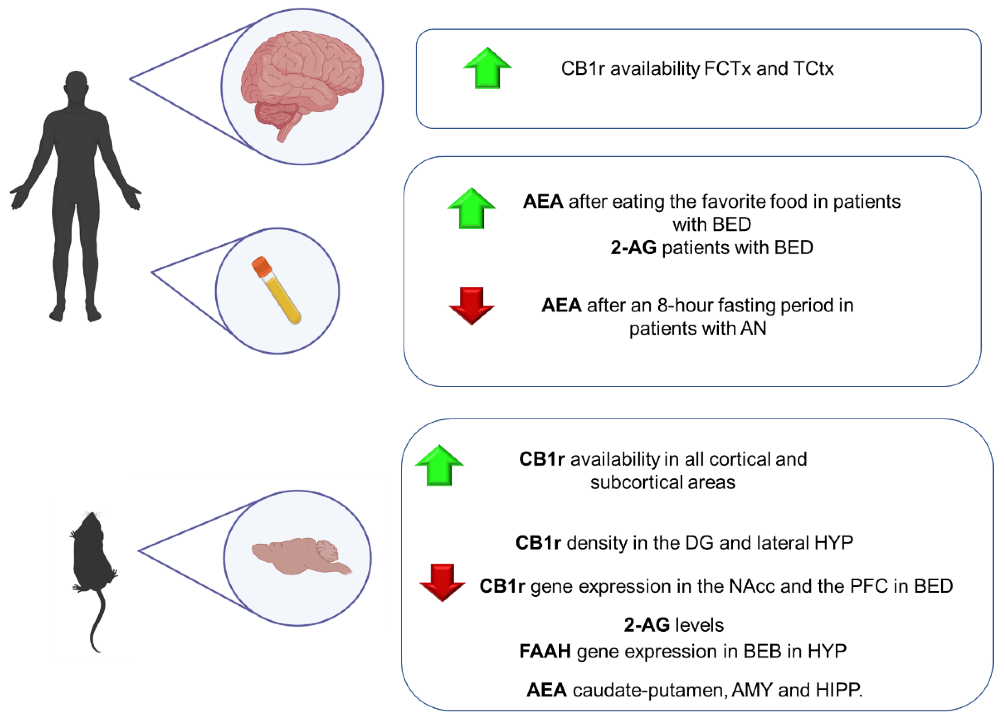 IJMS | Free Full-Text | Molecular Alterations of the 