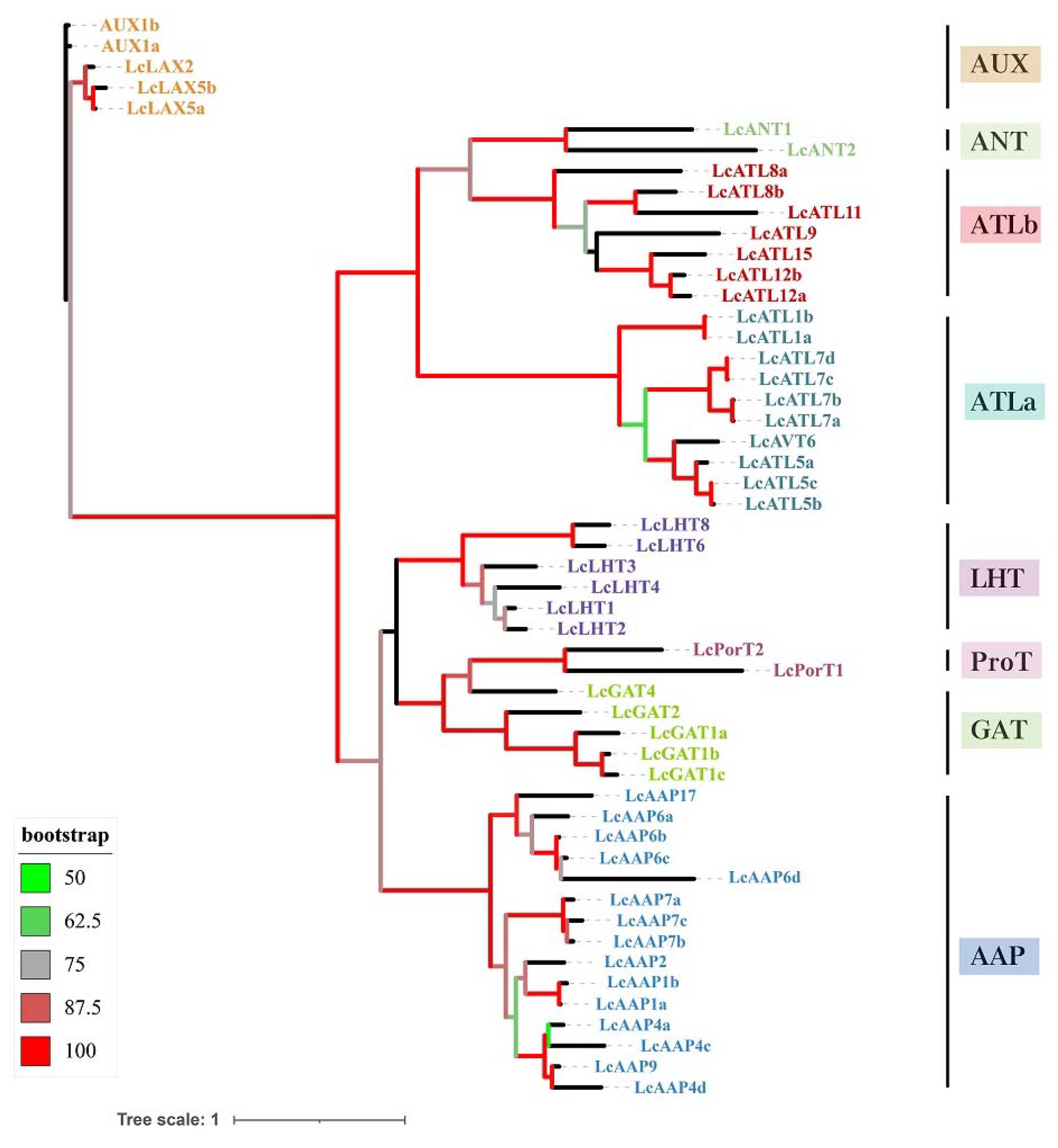 Ijms 23 04765 g002 550