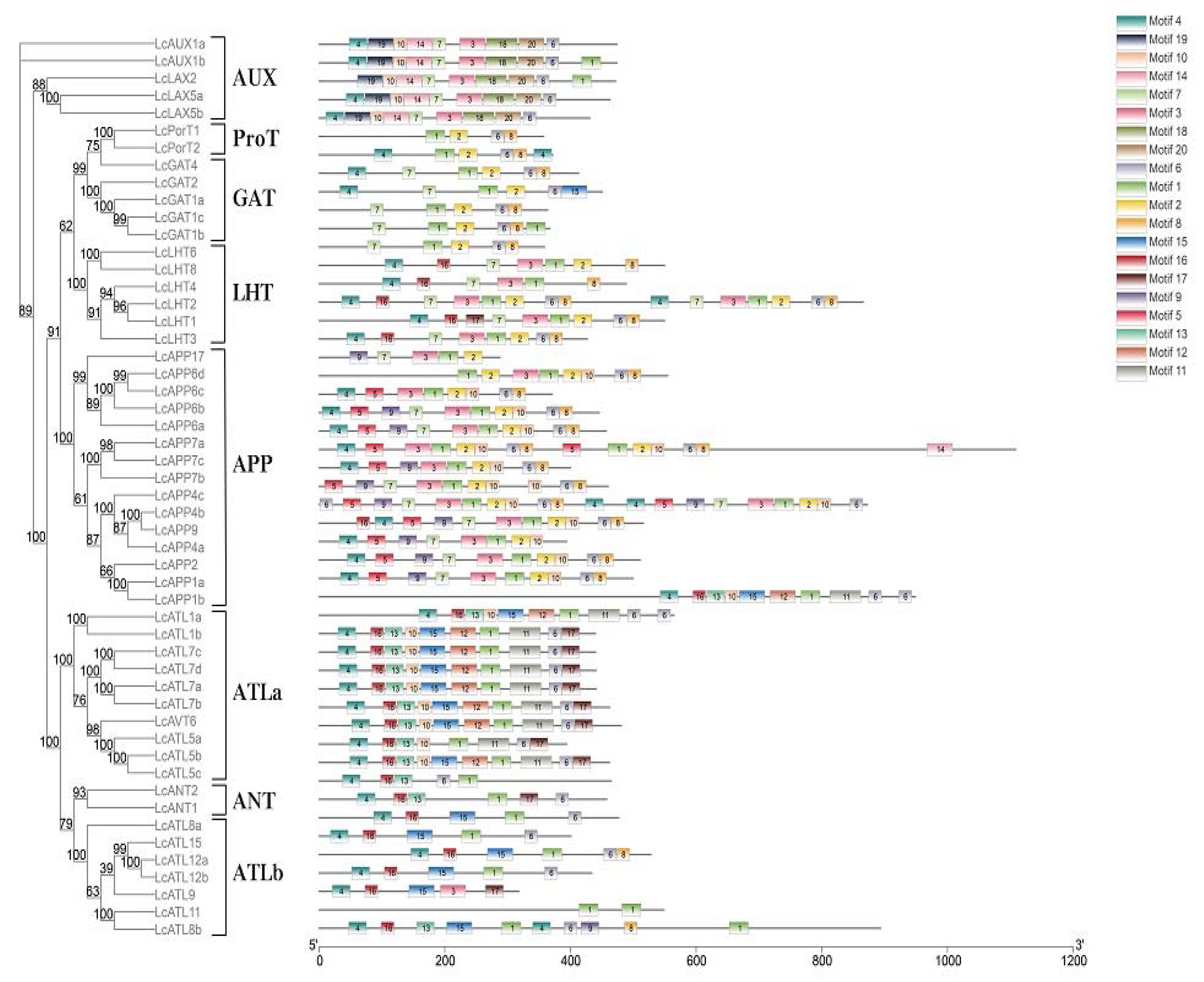 Ijms 23 04765 g004 550