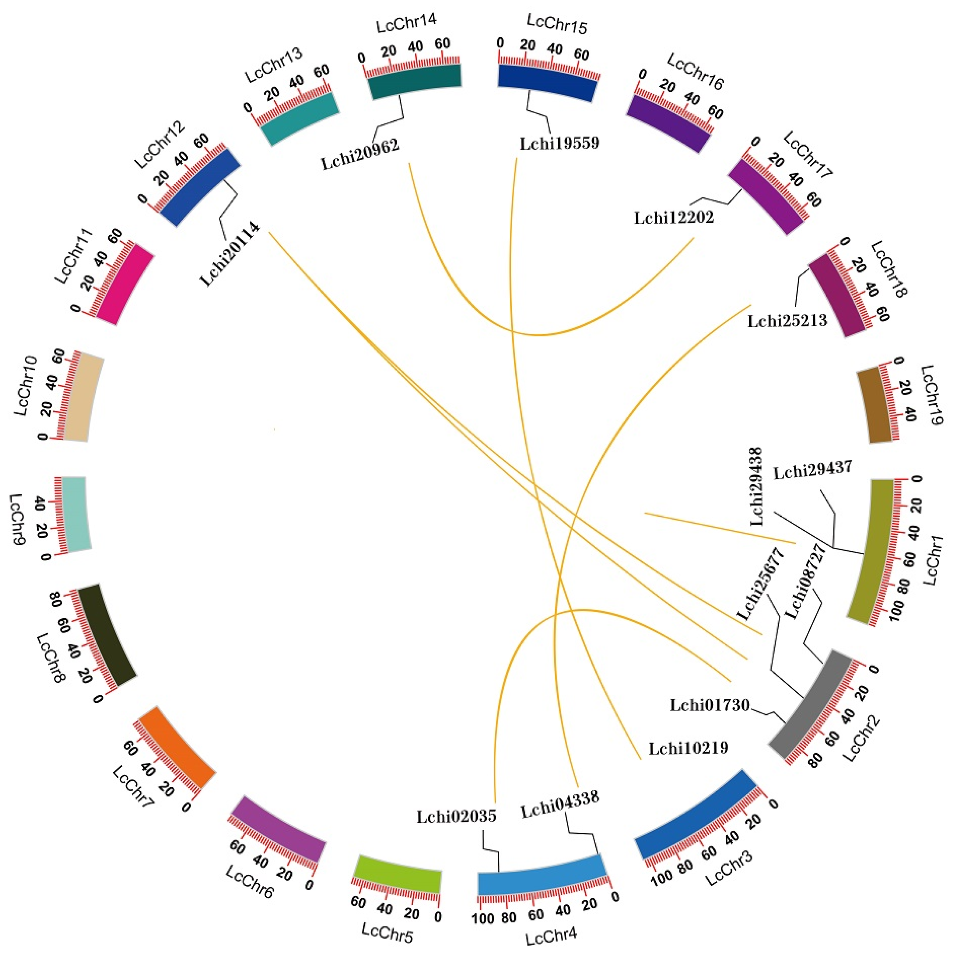 Ijms 23 04765 g006 550