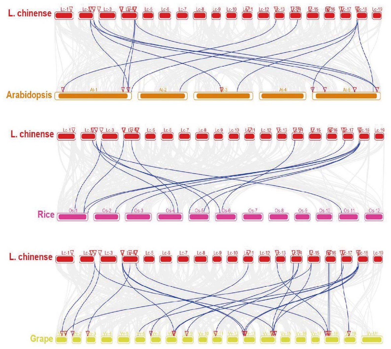 Ijms 23 04765 g007 550
