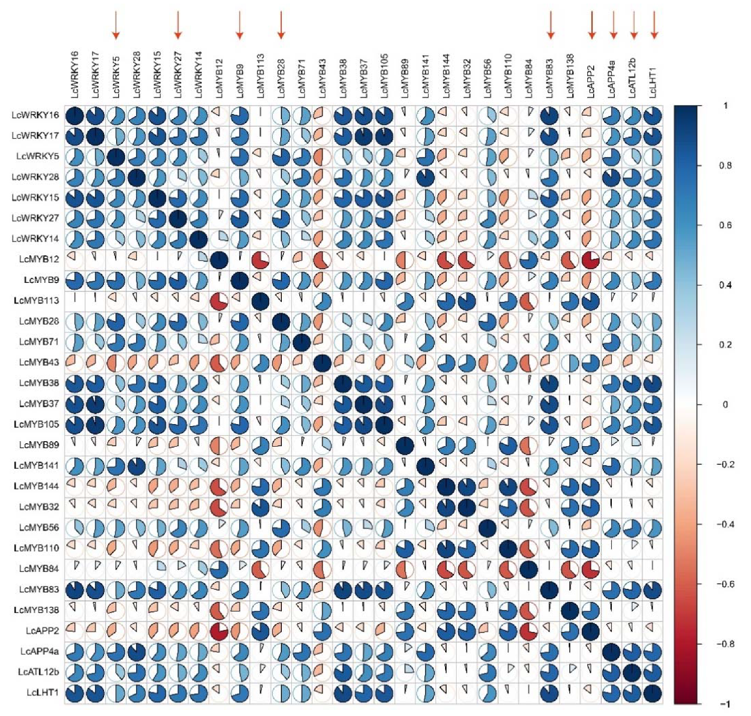 Ijms 23 04765 g012 550