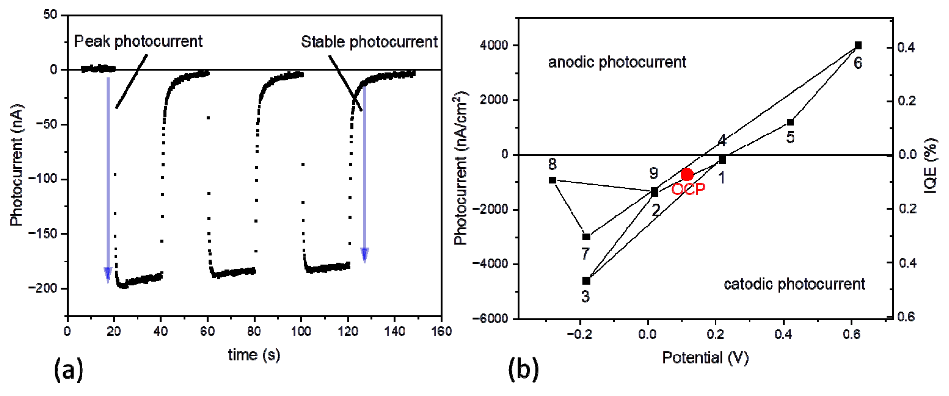 Ijms 23 04774 g004 Ijms 23 04774 g004