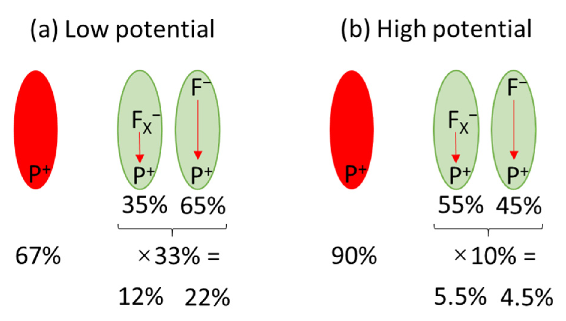 Ijms 23 04774 g010 Ijms 23 04774 g010