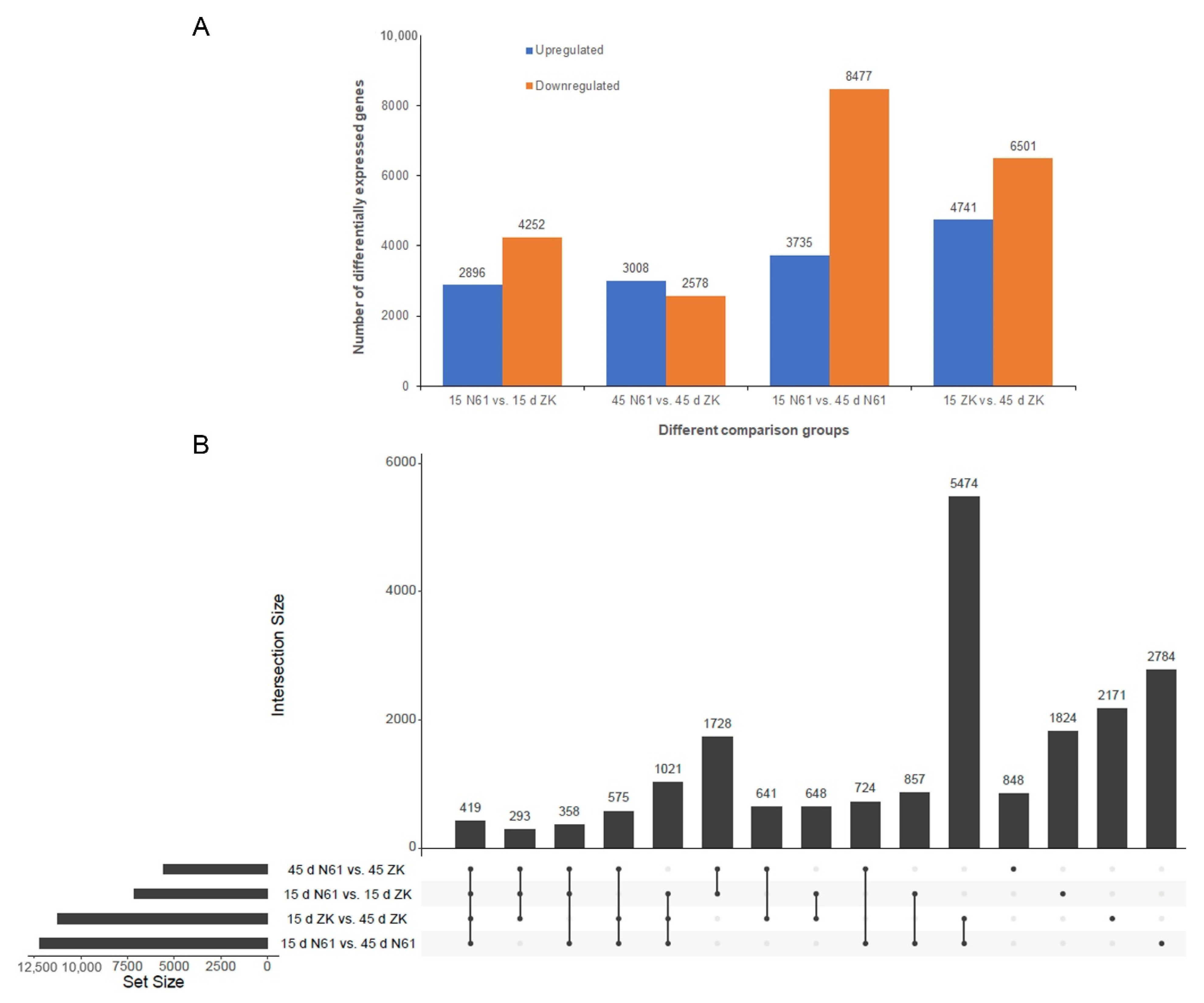 Ijms 23 04780 g003 550