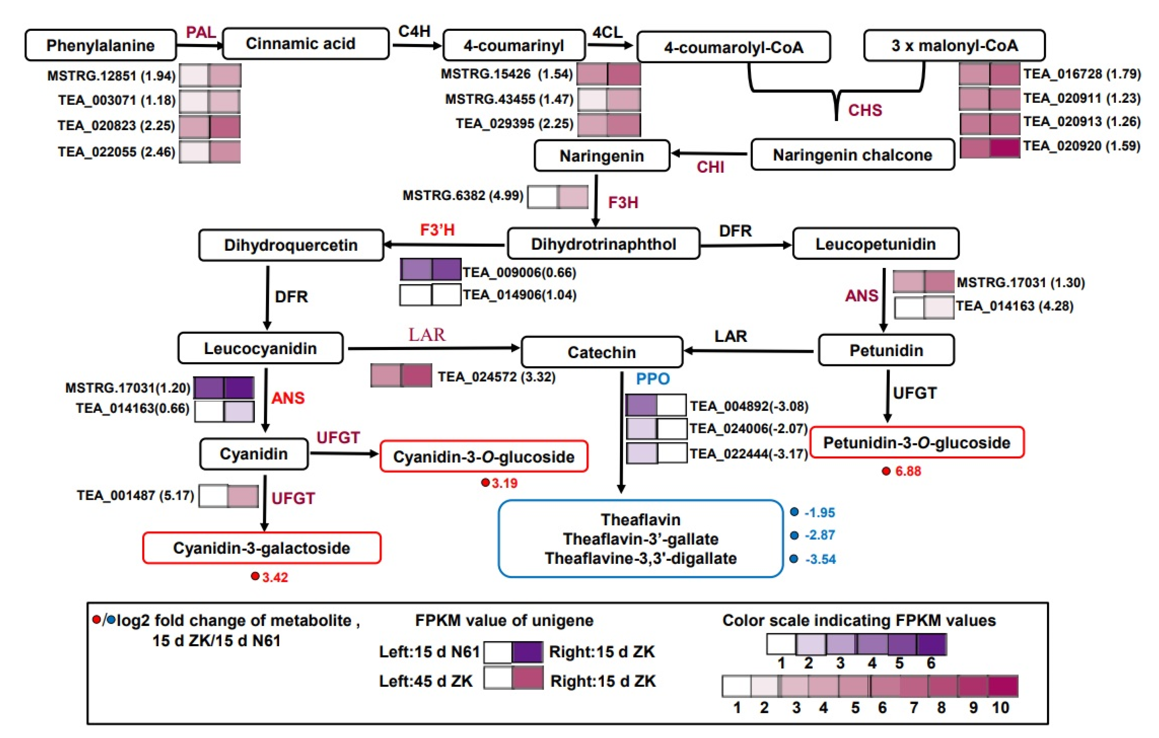 Ijms 23 04780 g005 550