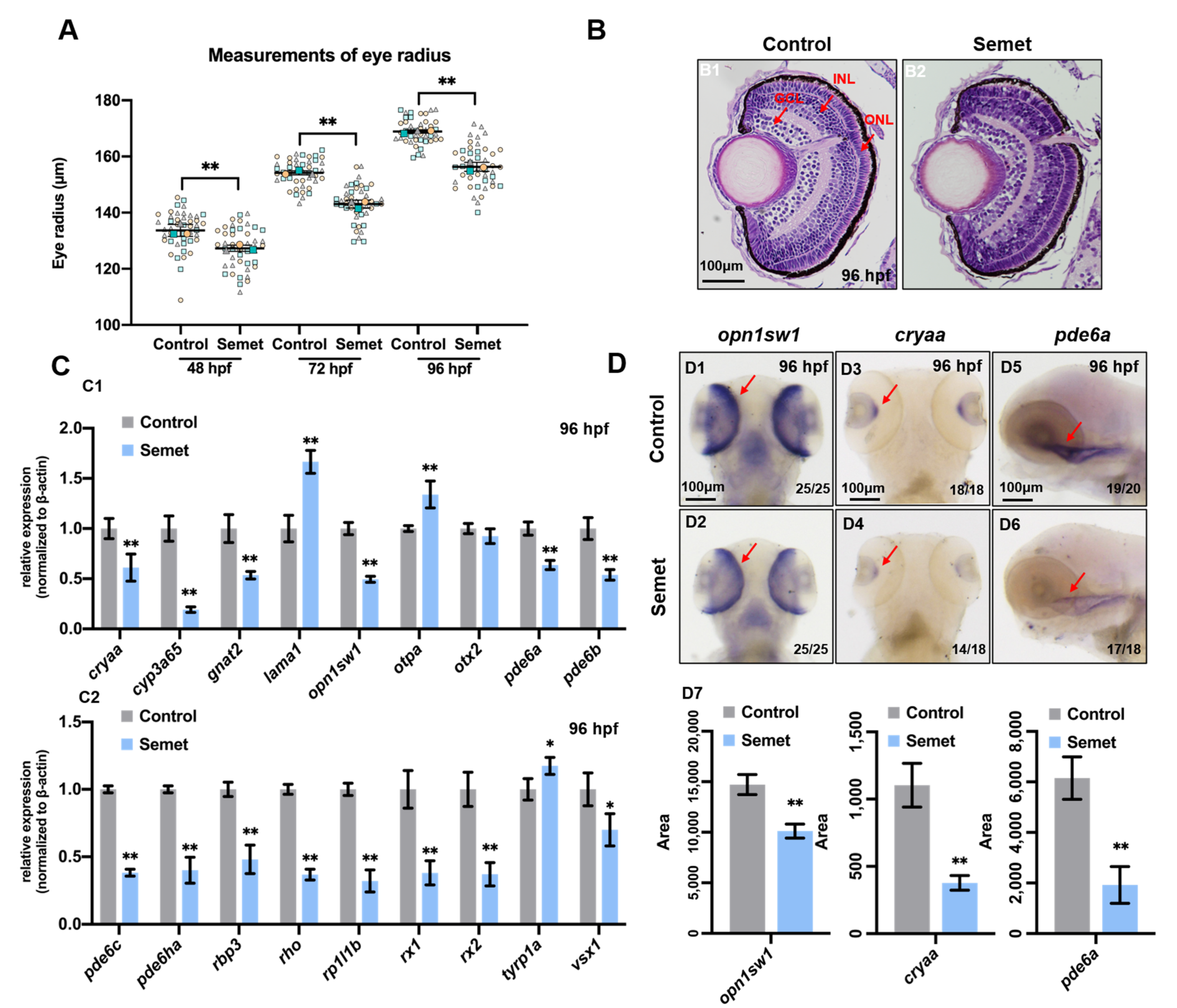 Ijms 23 04783 g001 550