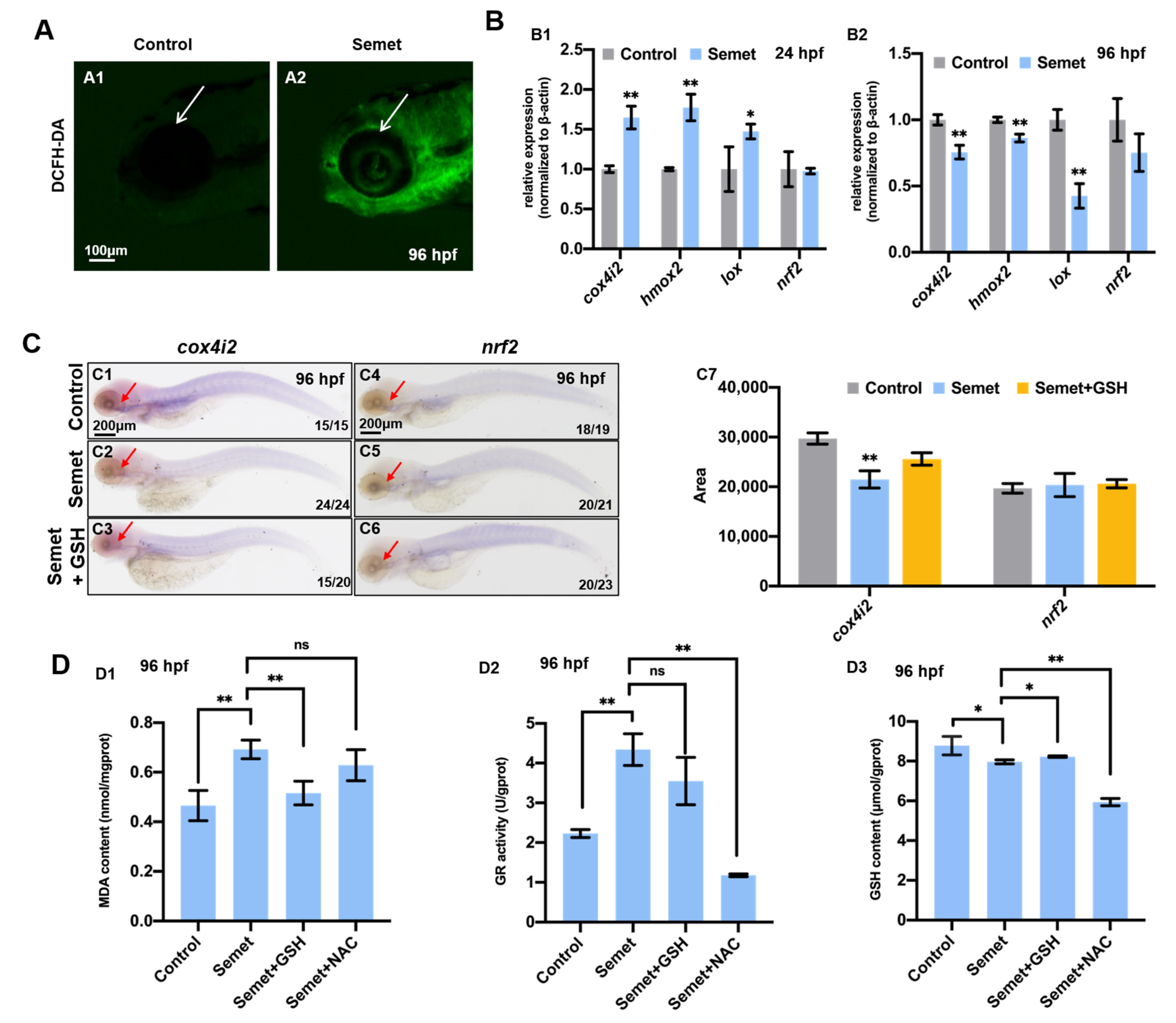 Ijms 23 04783 g002 550