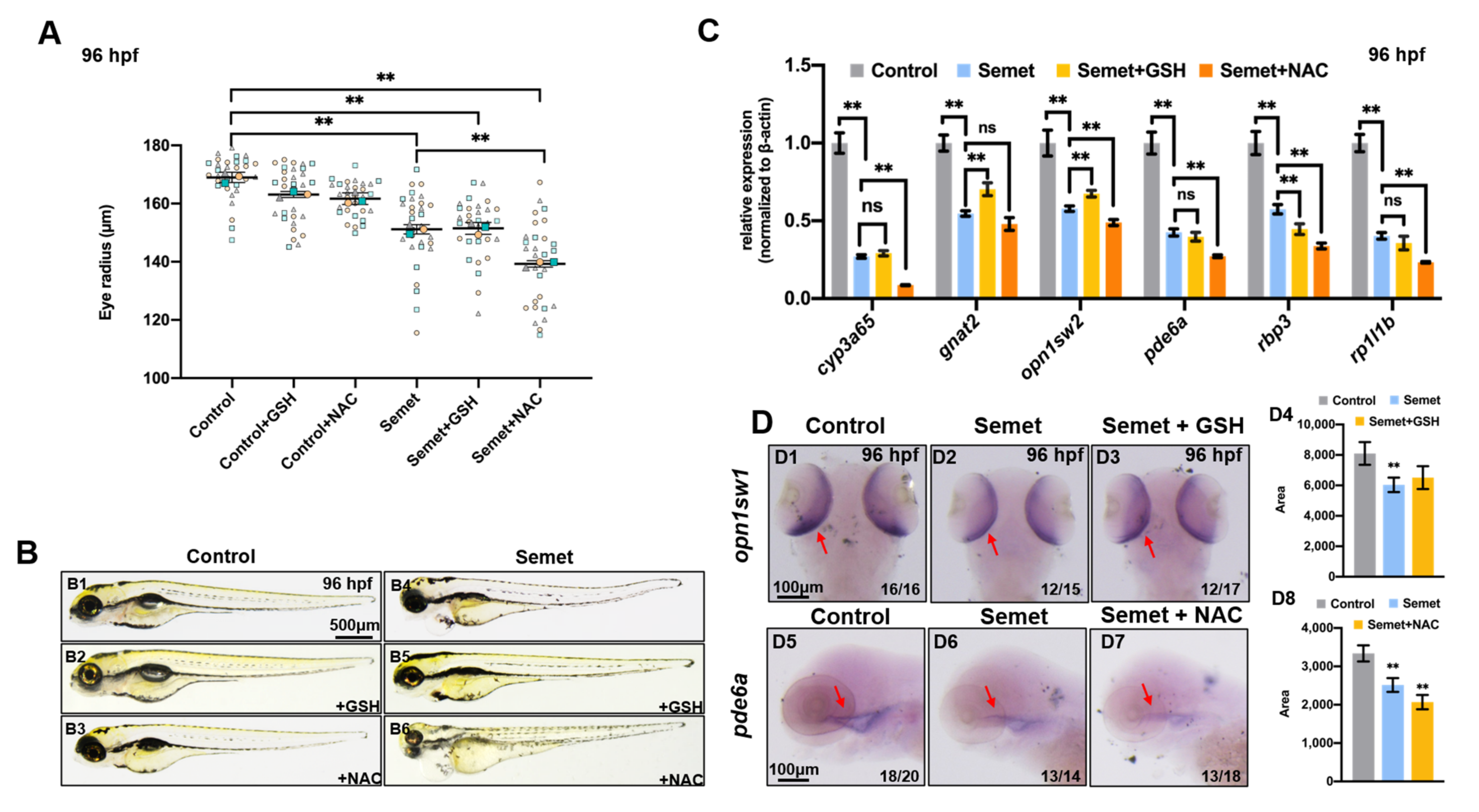 Ijms 23 04783 g005 550