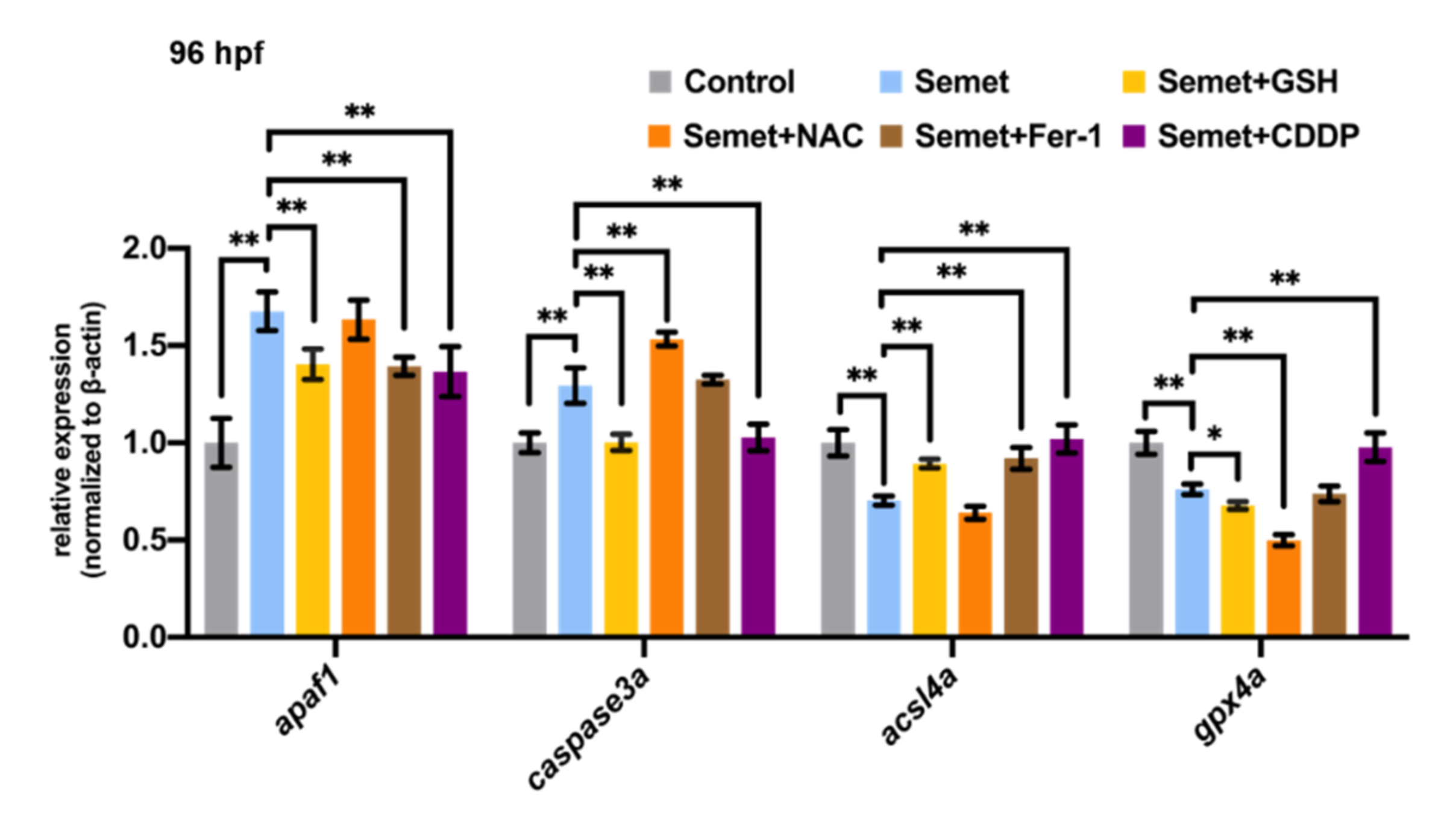 Ijms 23 04783 g007 550