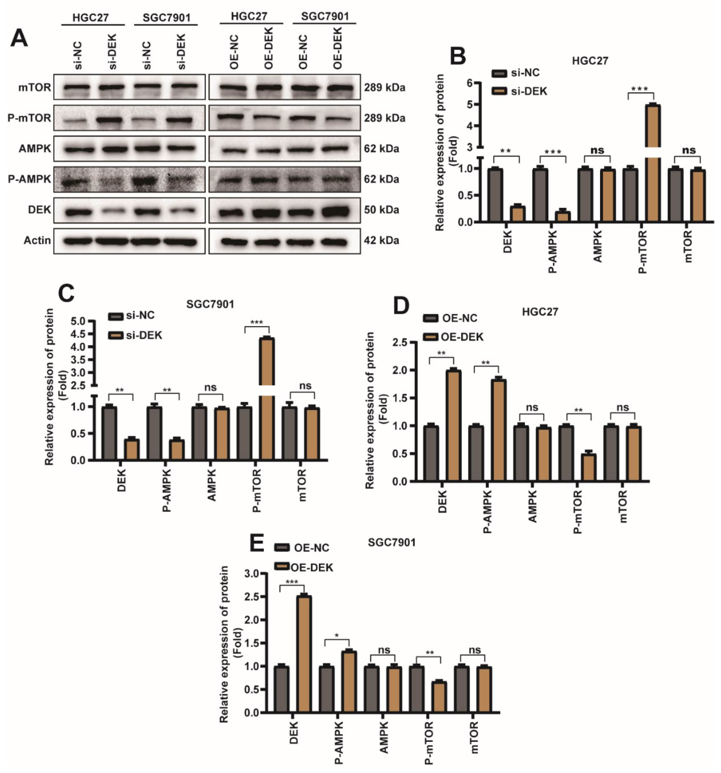 Ijms 23 04787 g004 Ijms 23 04787 g004