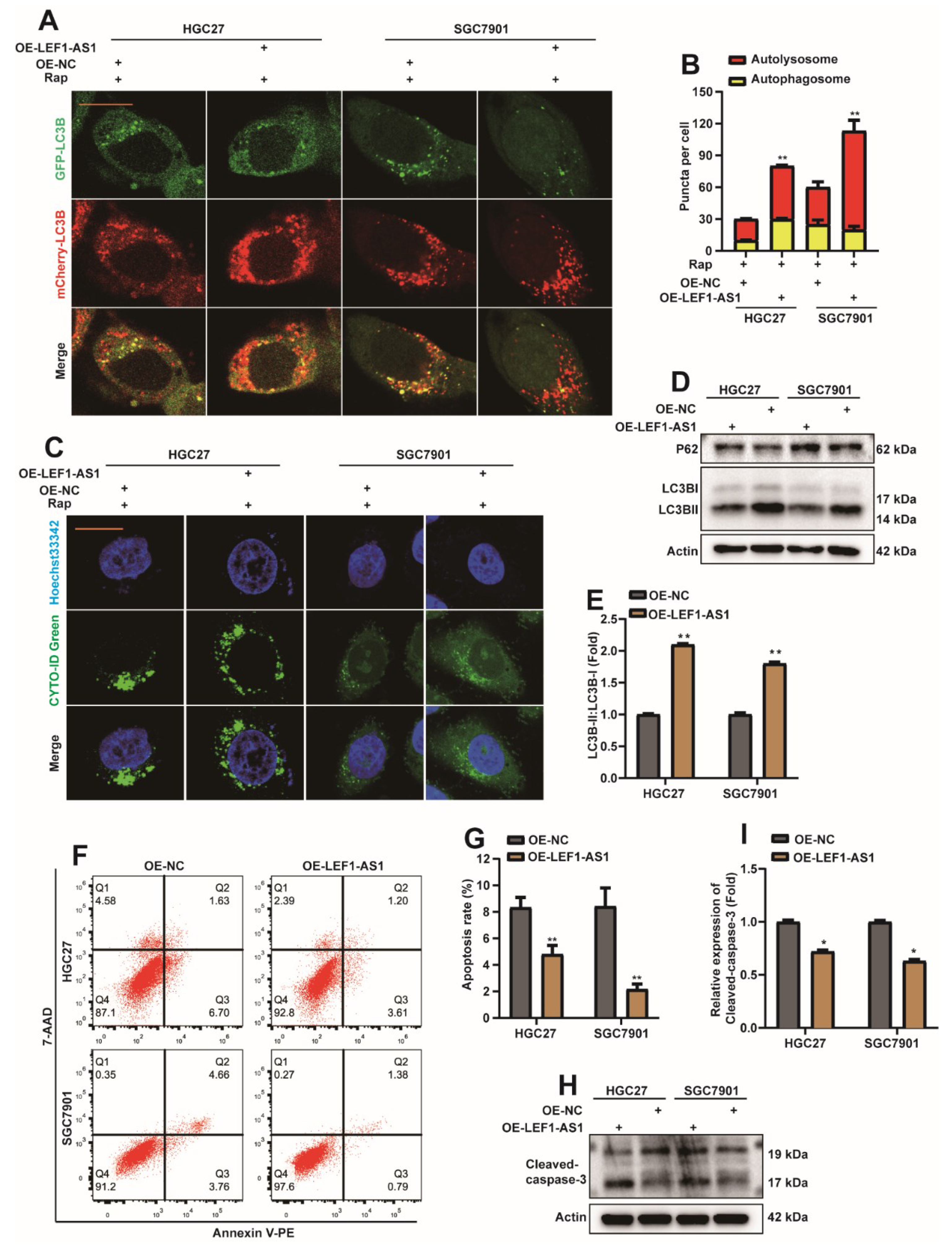 Ijms 23 04787 g006 Ijms 23 04787 g006