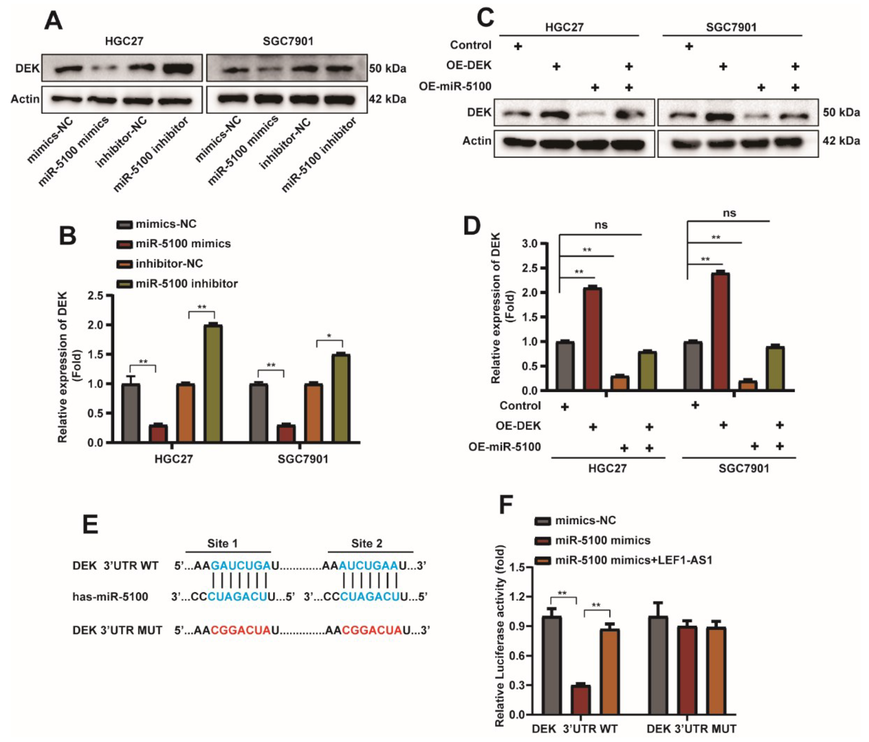 Ijms 23 04787 g007 Ijms 23 04787 g007