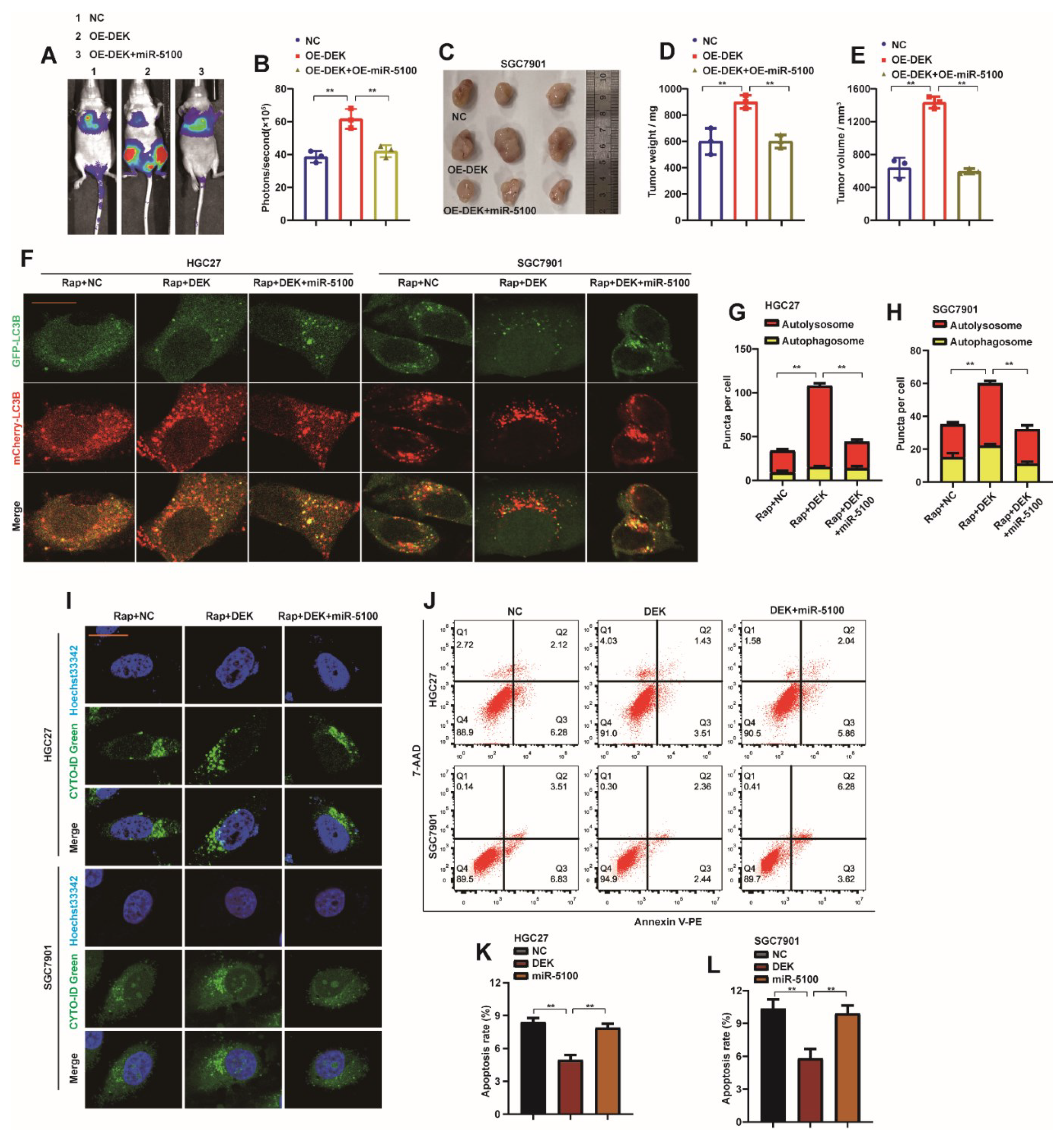 Ijms 23 04787 g008 Ijms 23 04787 g008