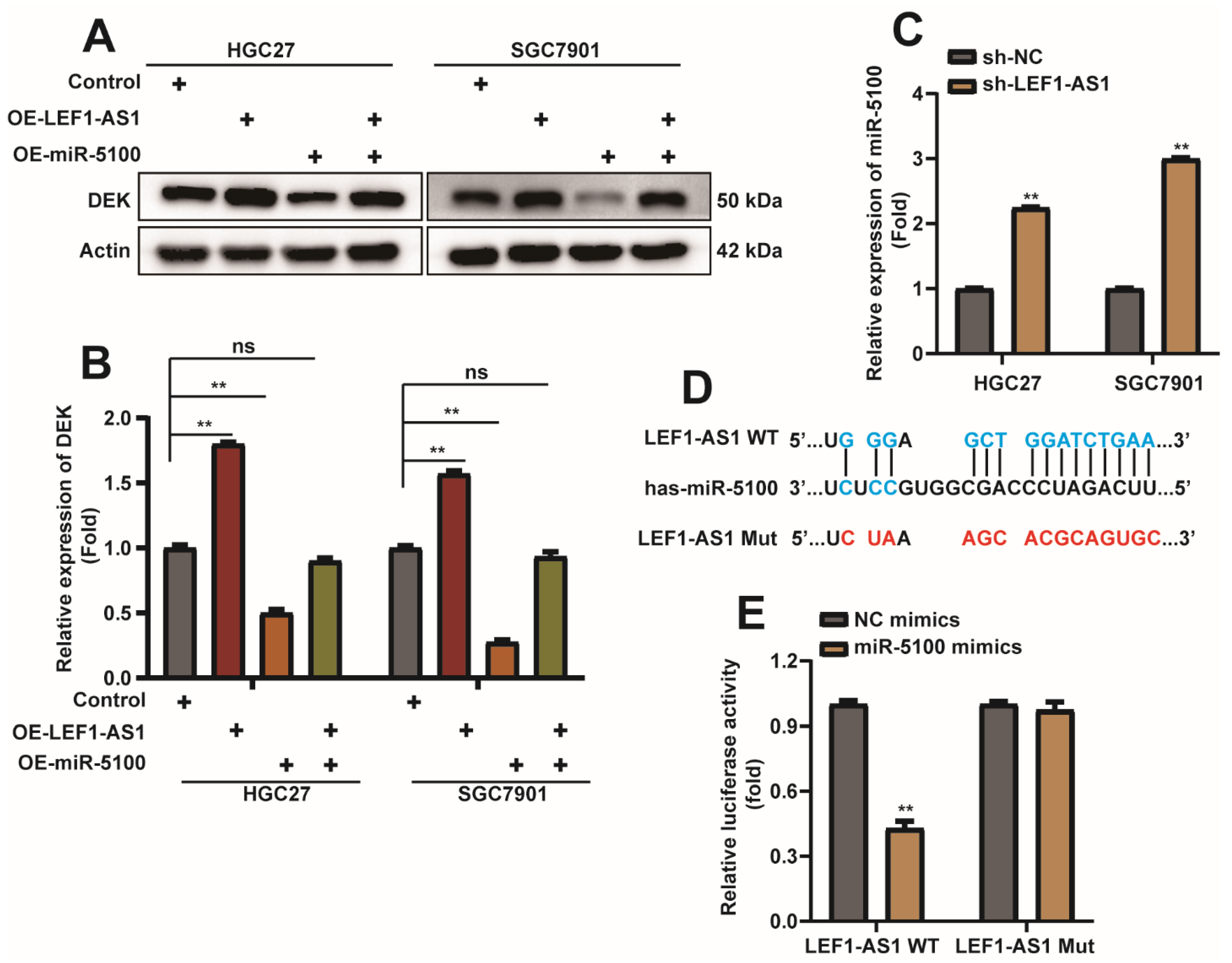 Ijms 23 04787 g009 Ijms 23 04787 g009