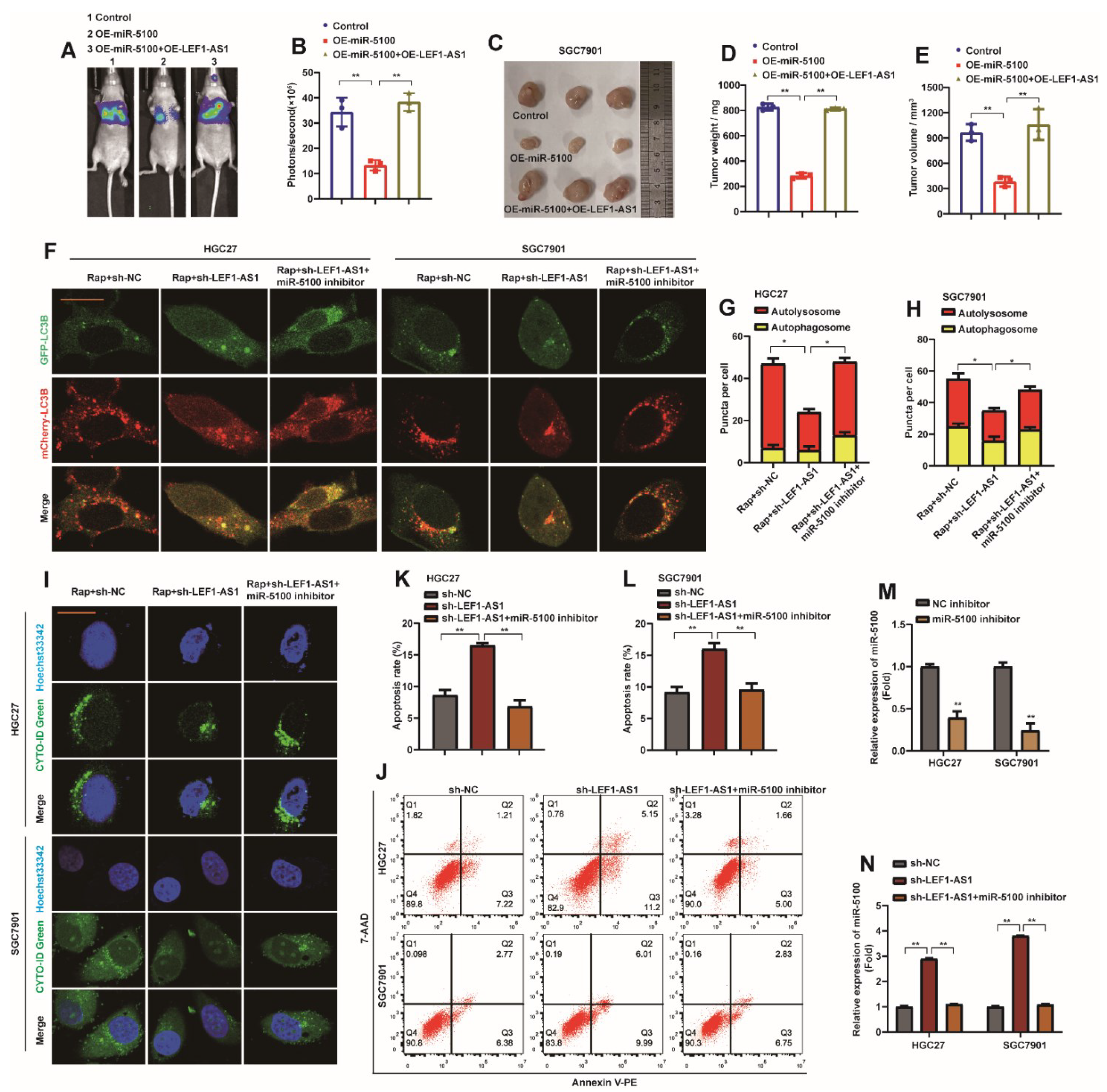 Ijms 23 04787 g010 Ijms 23 04787 g010