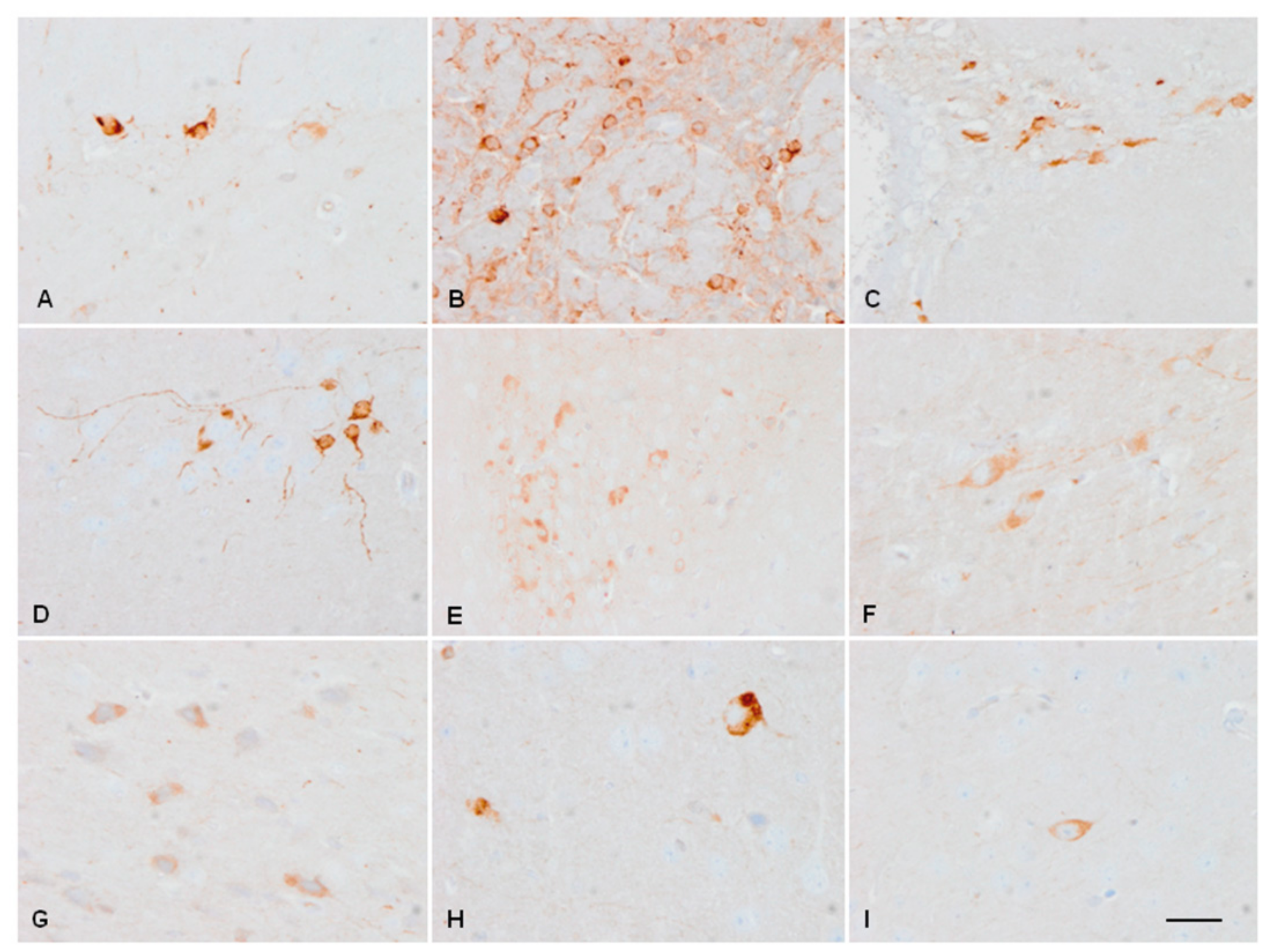 Ijms 23 04789 g002 550