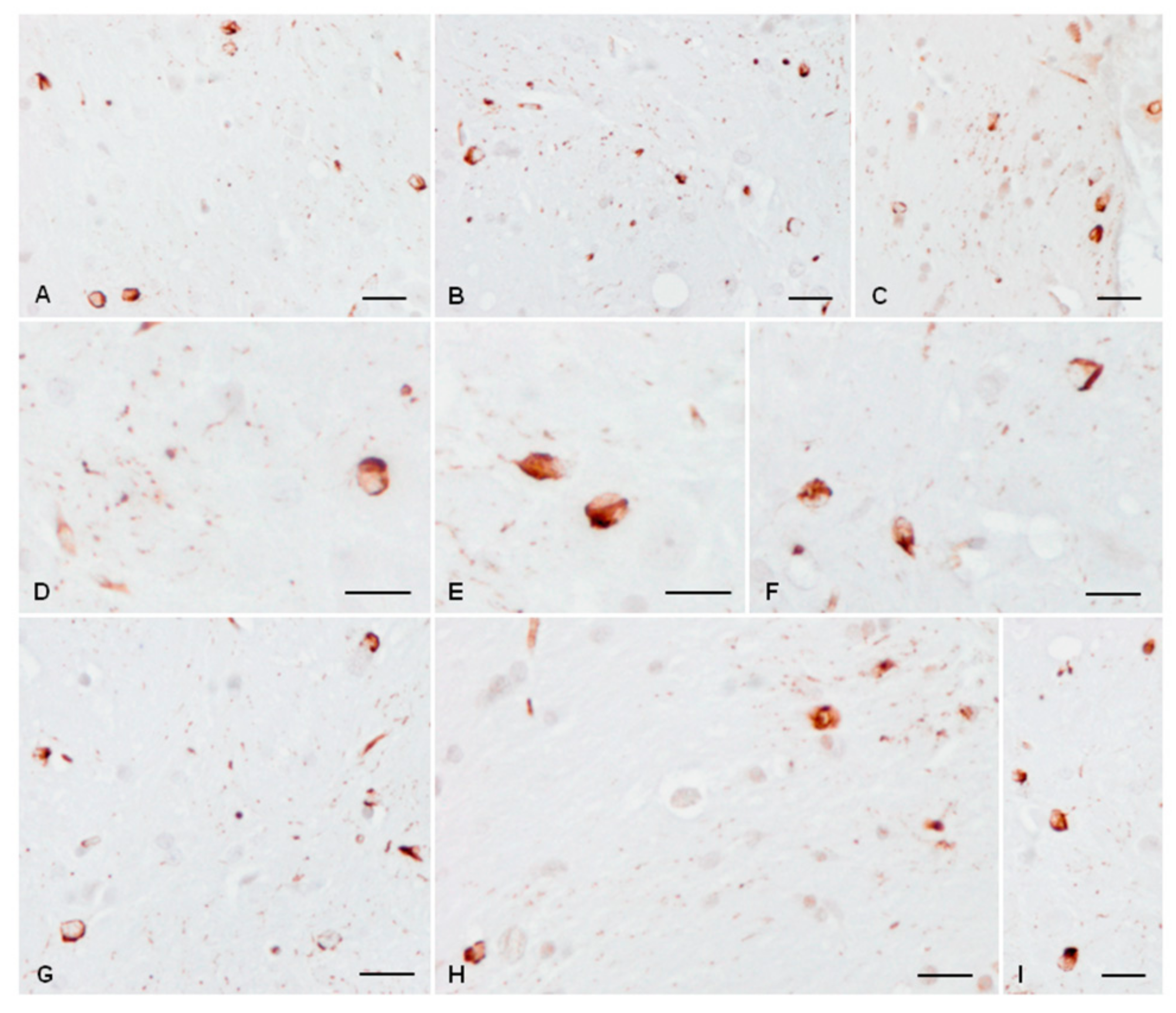 Ijms 23 04789 g006 550