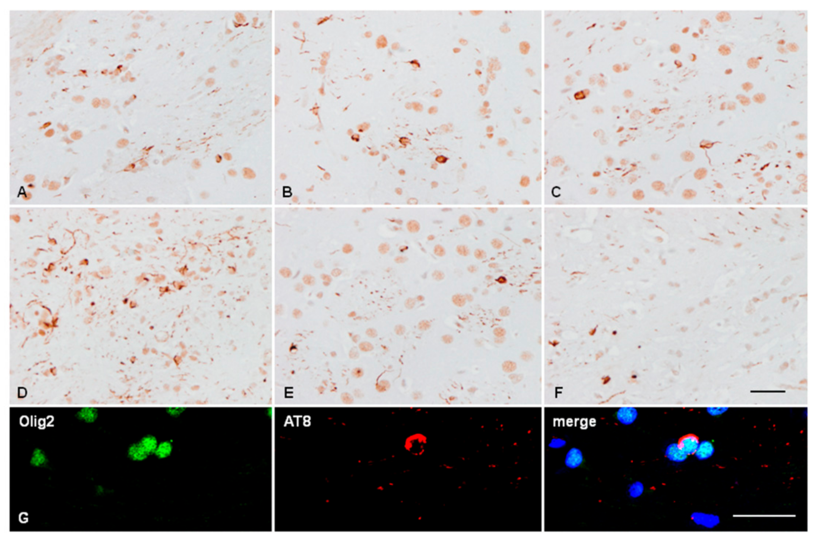 Ijms 23 04789 g007 550