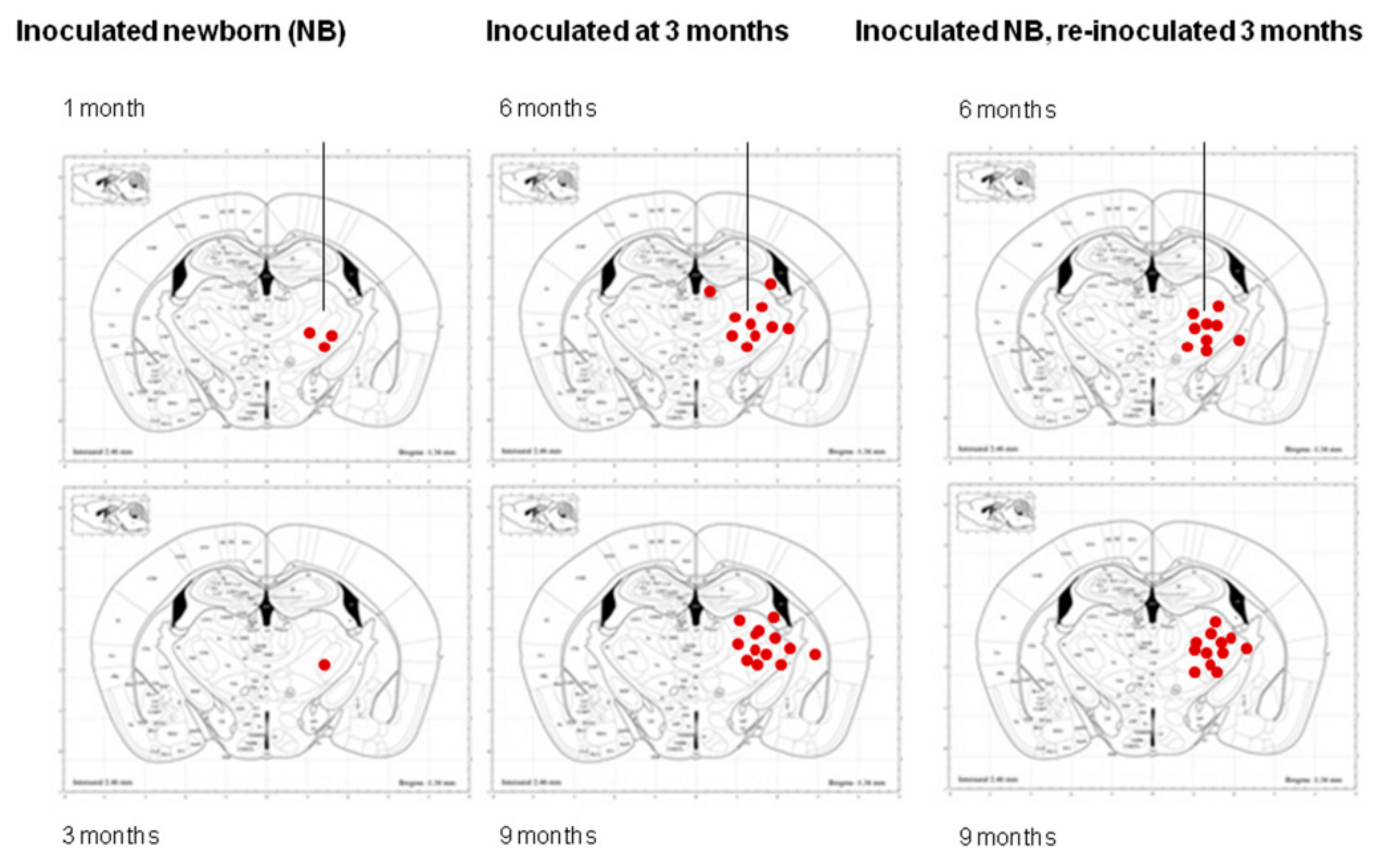 Ijms 23 04789 g008 550
